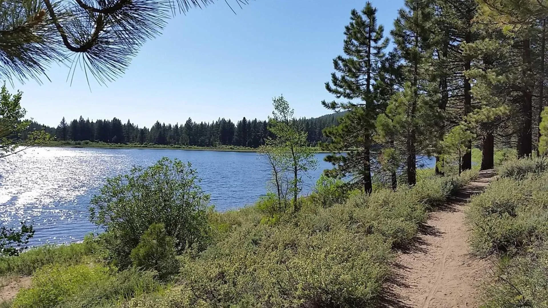 Lakeland Village #105