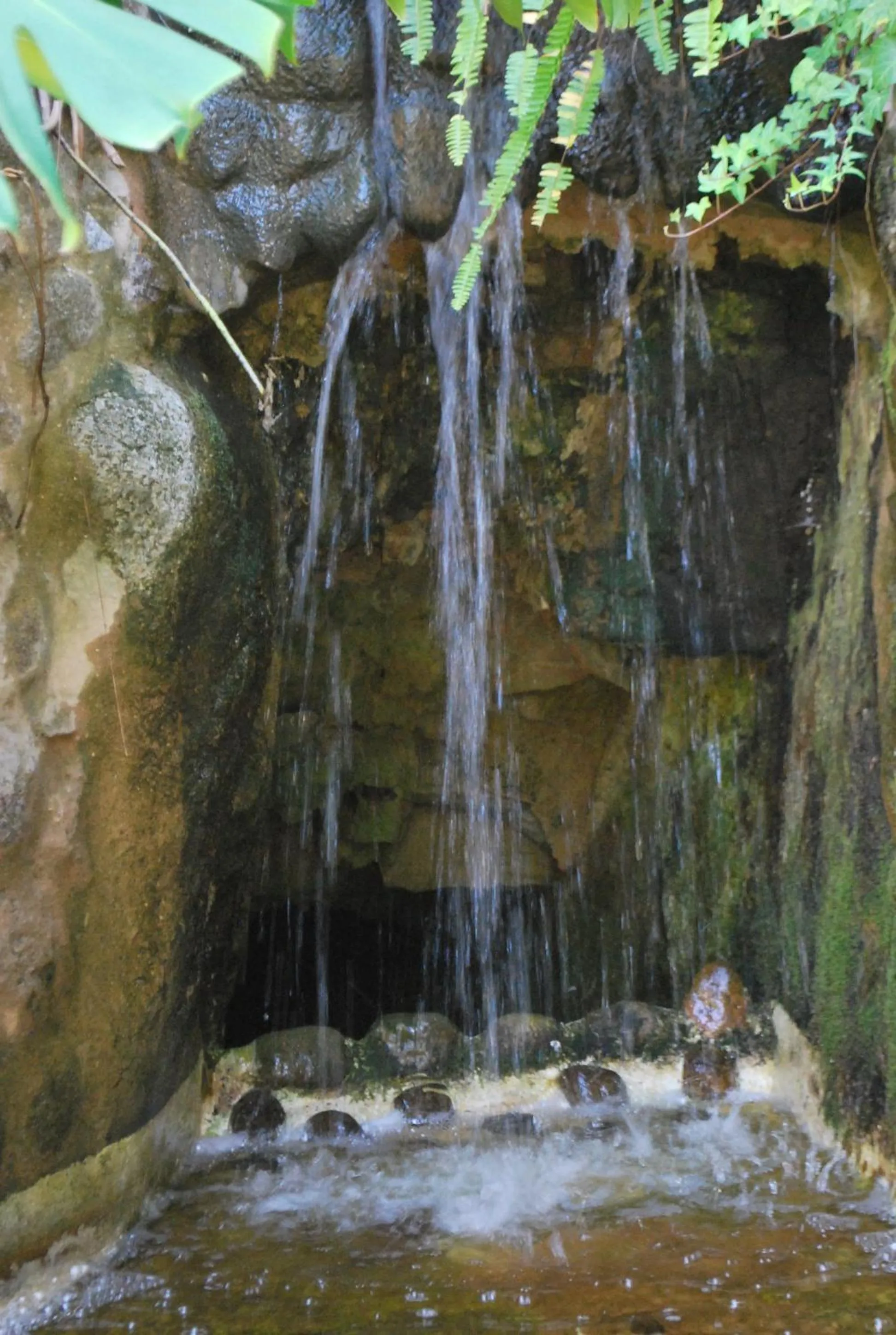 Garden in Albergaria do Lageado