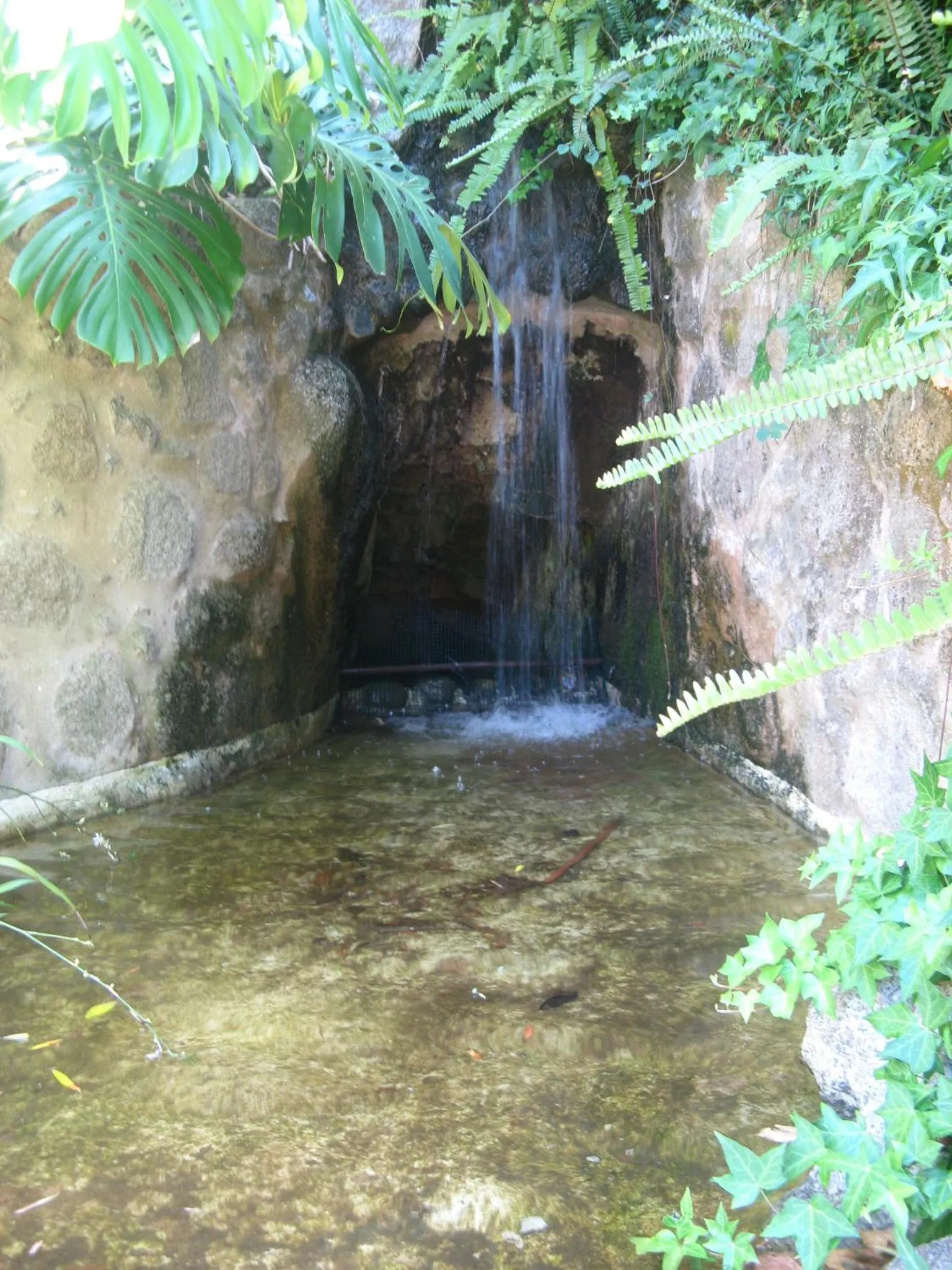 Garden in Albergaria do Lageado