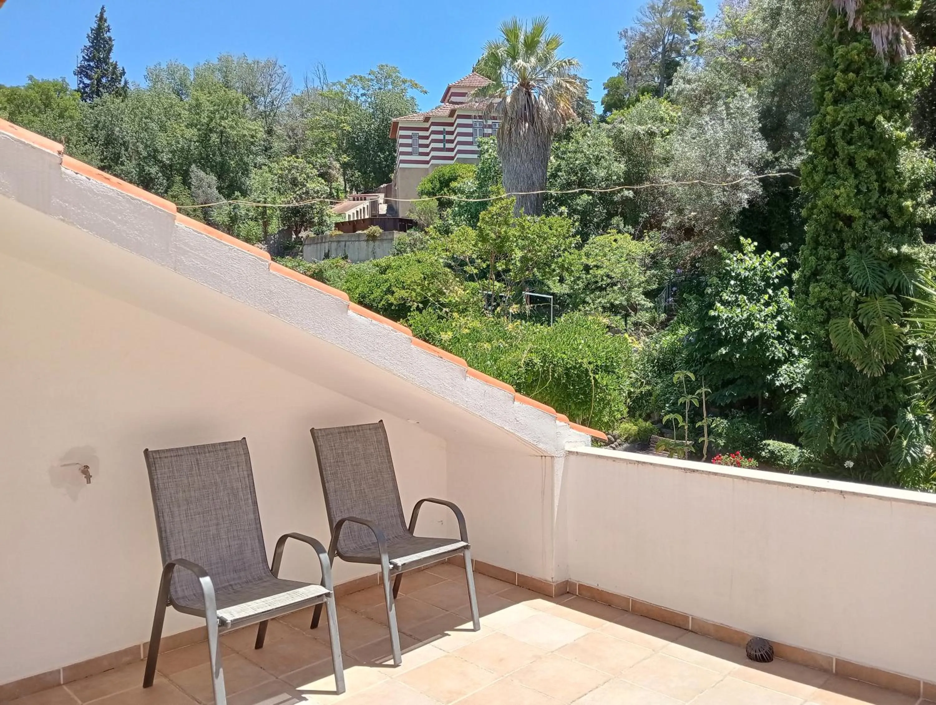 Garden view in Albergaria do Lageado