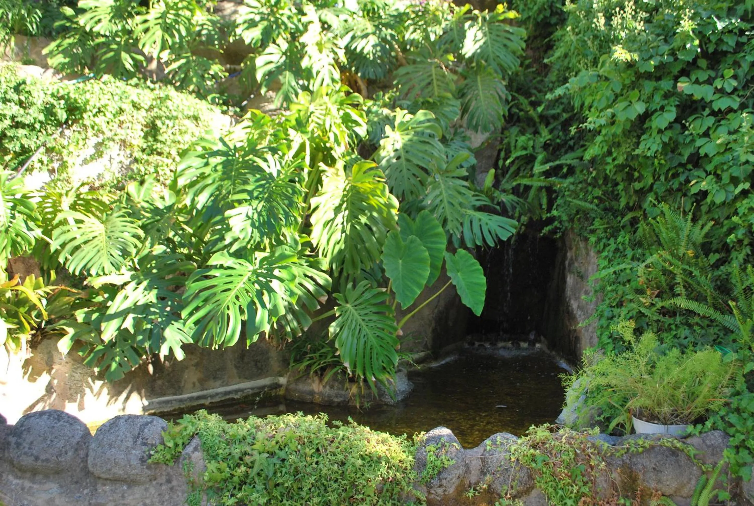 Garden in Albergaria do Lageado