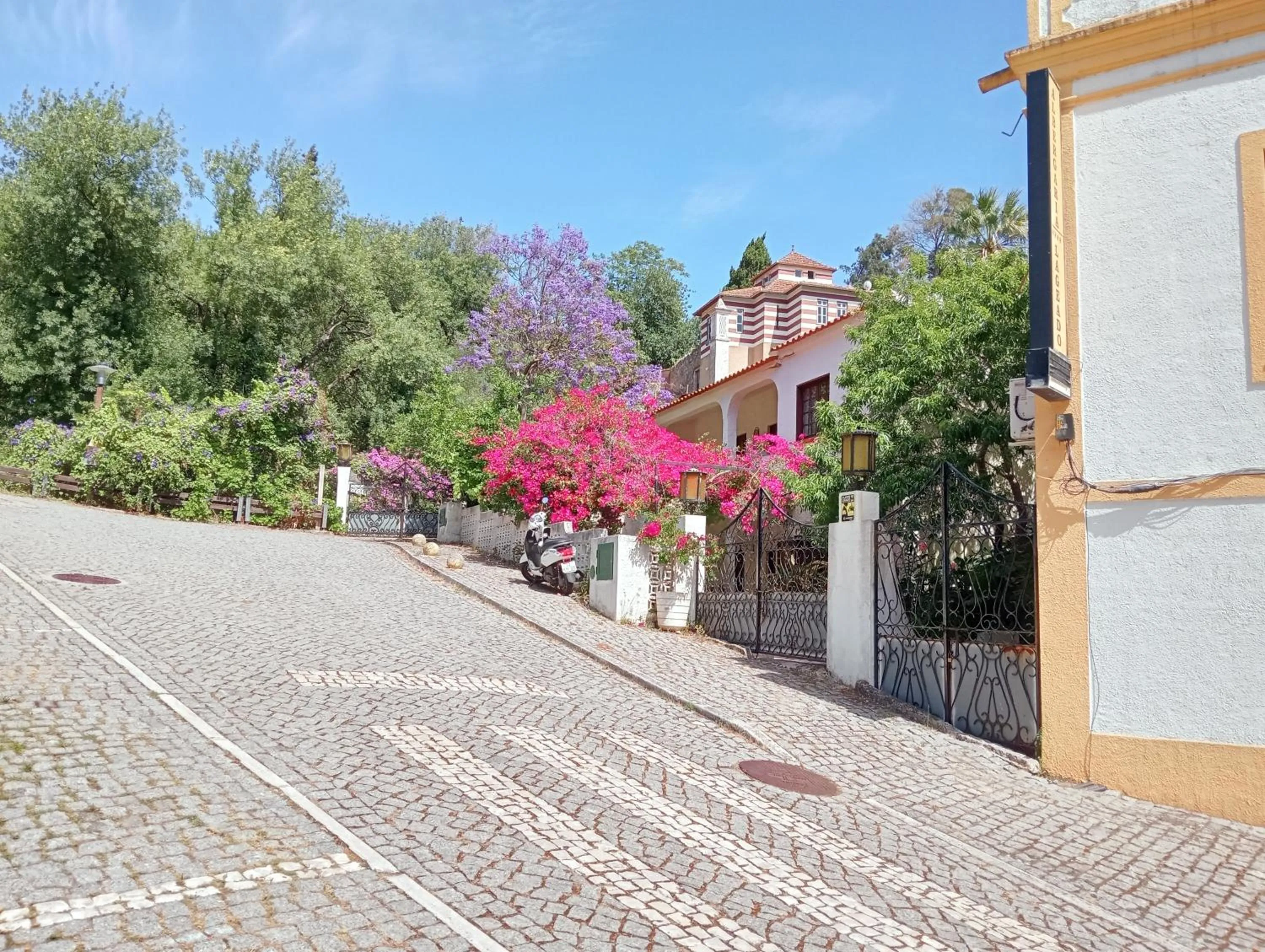 Street view in Albergaria do Lageado