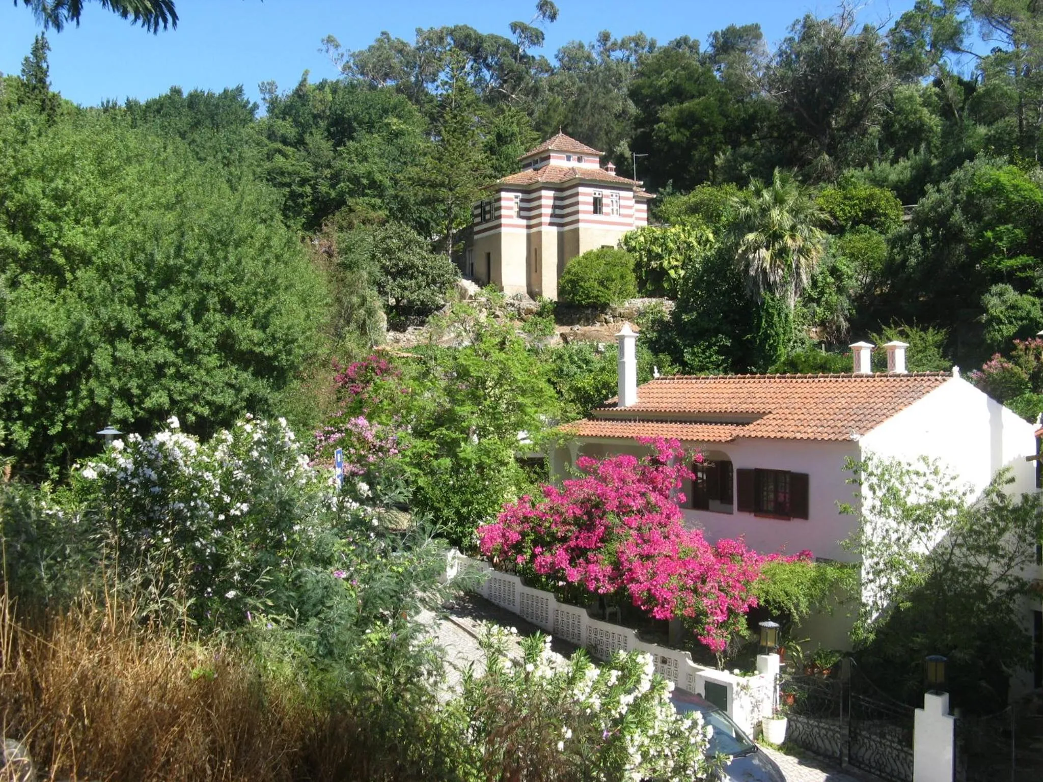 Property building in Albergaria do Lageado