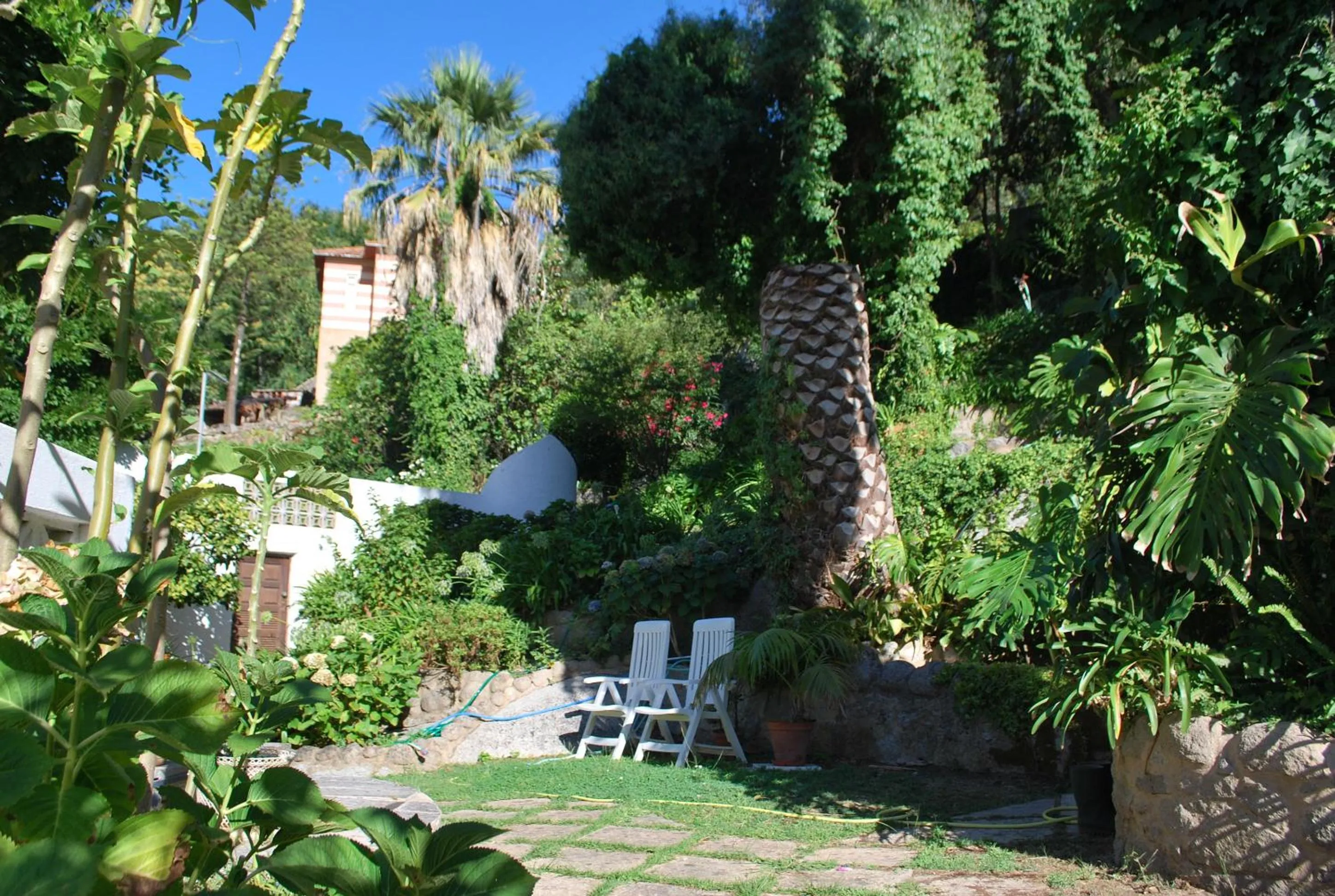 Garden in Albergaria do Lageado