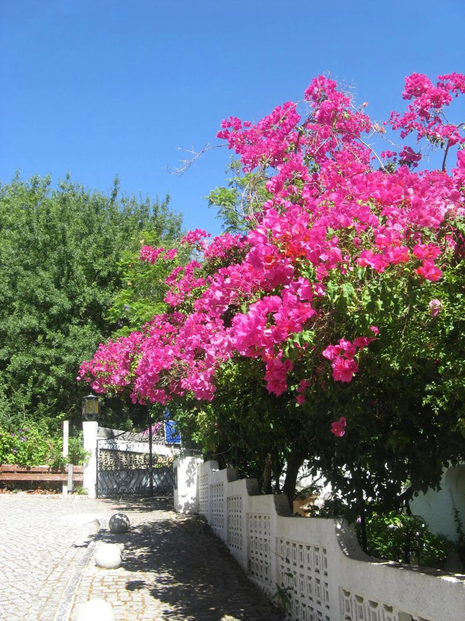 Facade/entrance in Albergaria do Lageado