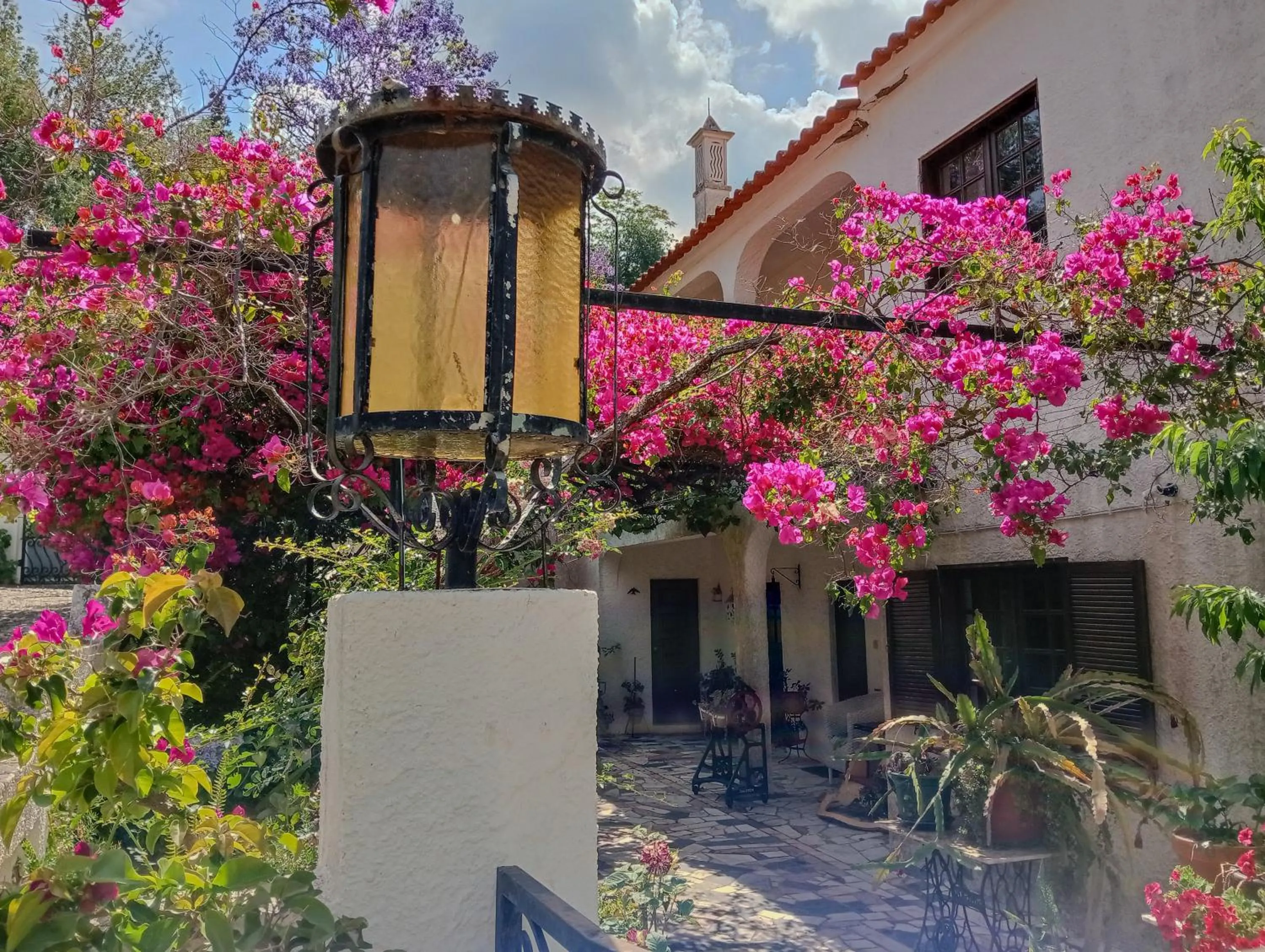 Garden in Albergaria do Lageado