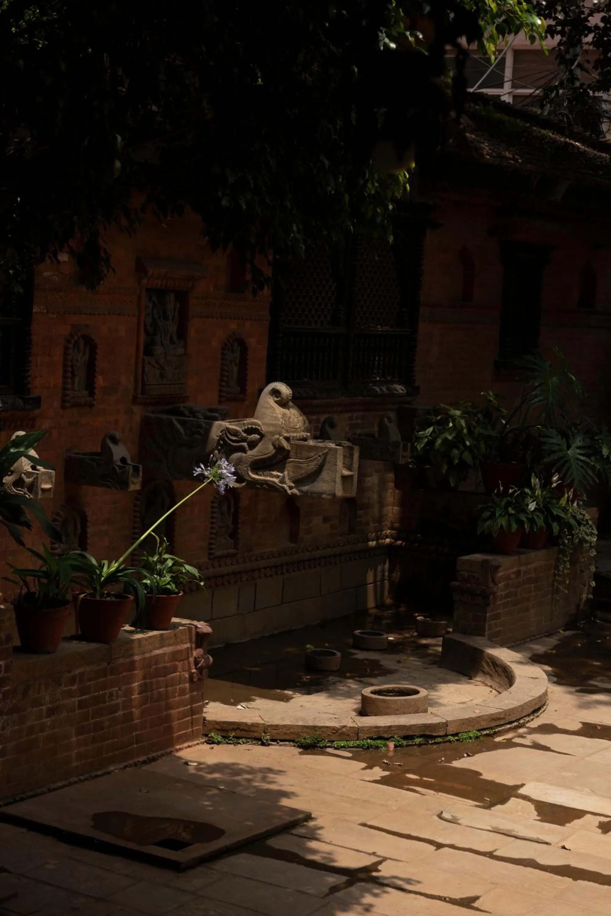 Property building in Kantipur Temple House