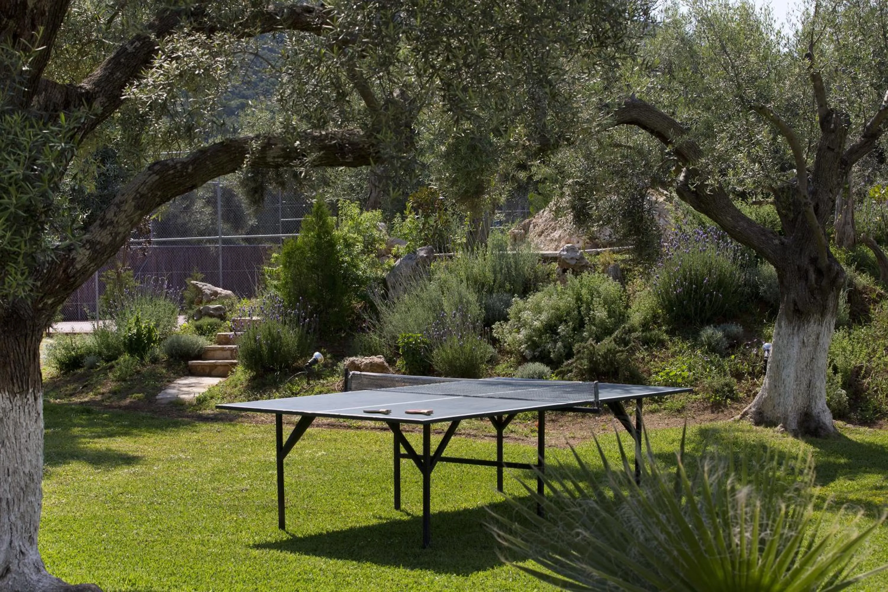 Table tennis in Villa Elia Resort