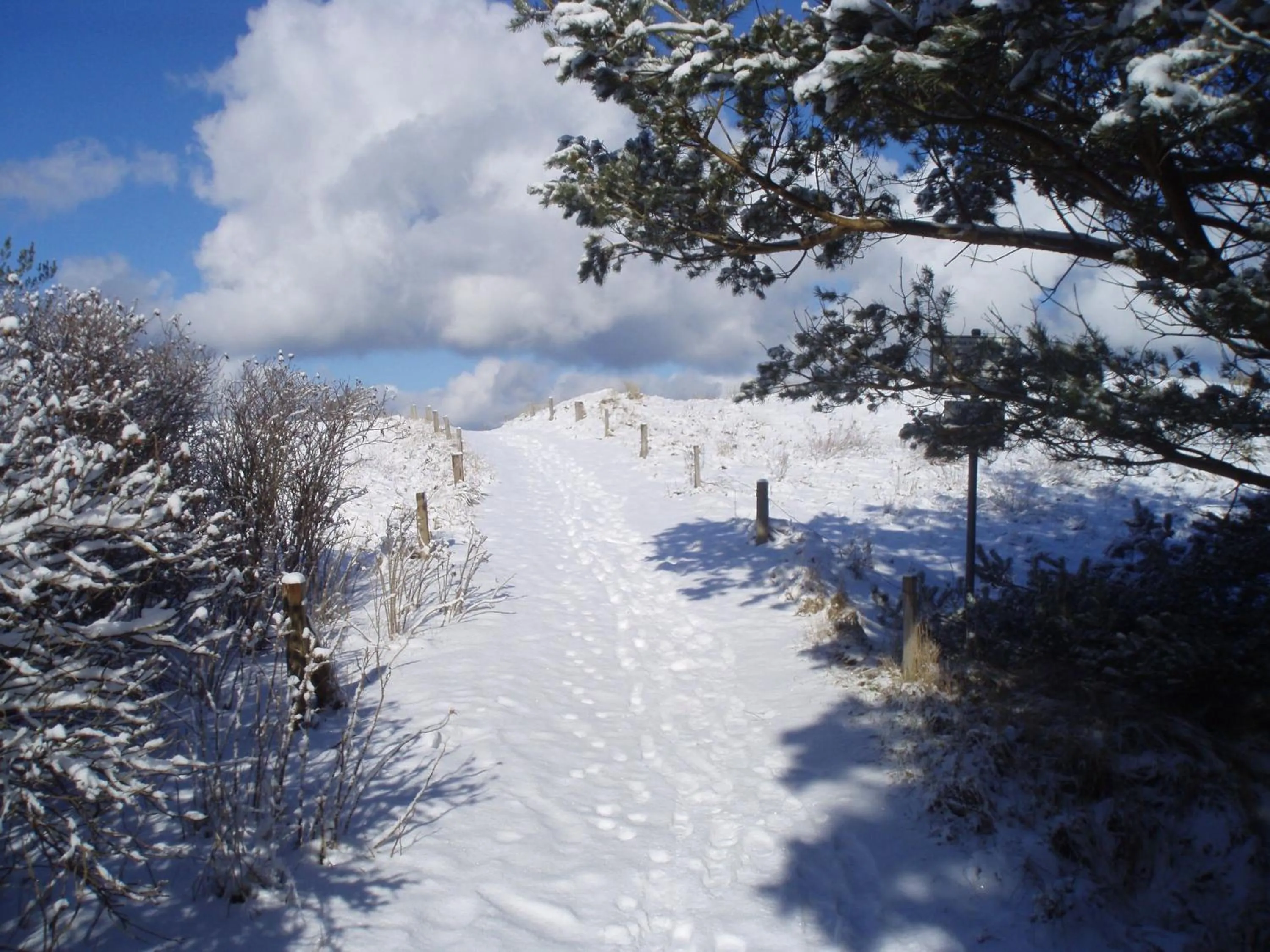 Natural landscape in Strandhotel Fischland