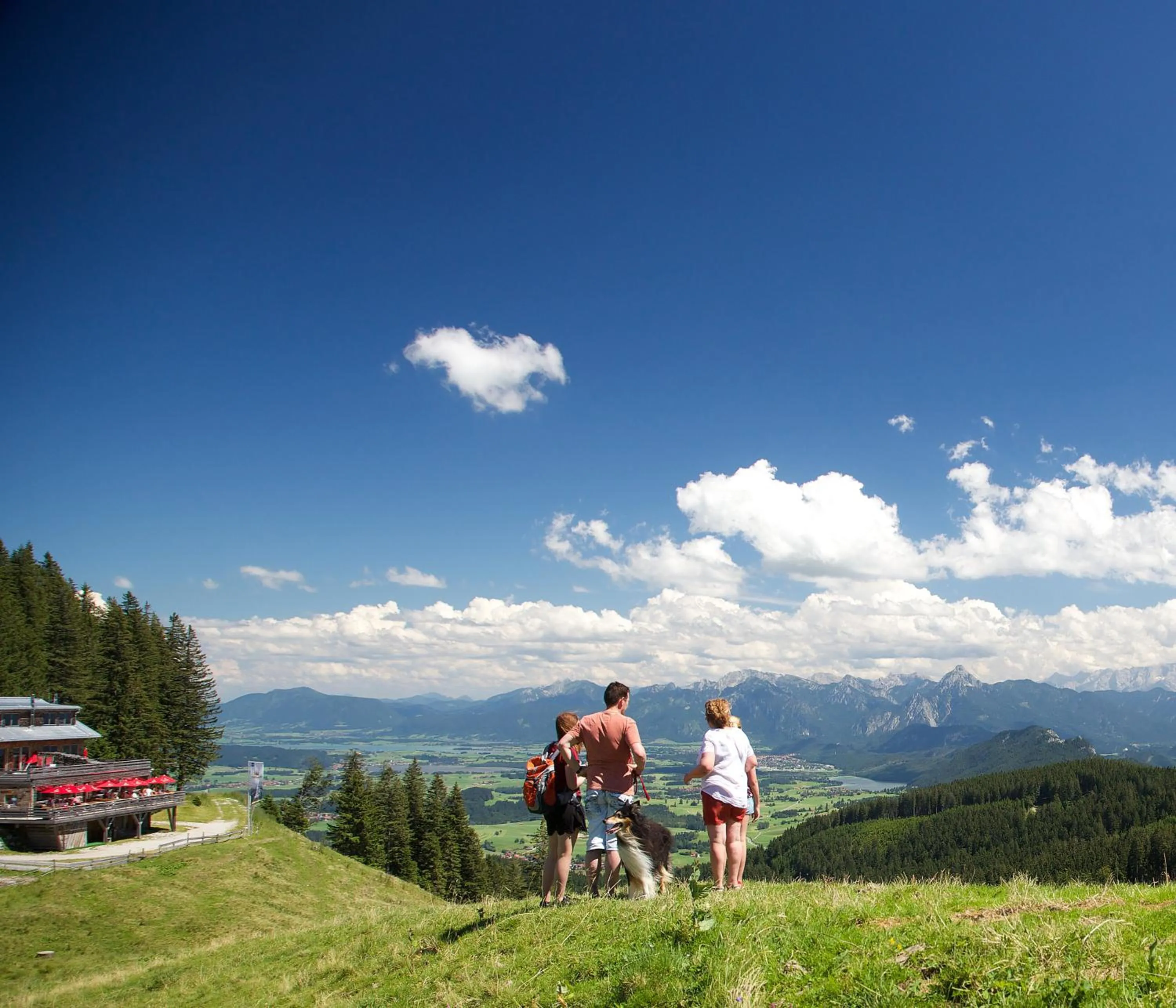 Natural landscape in Hotel Gasthof Post