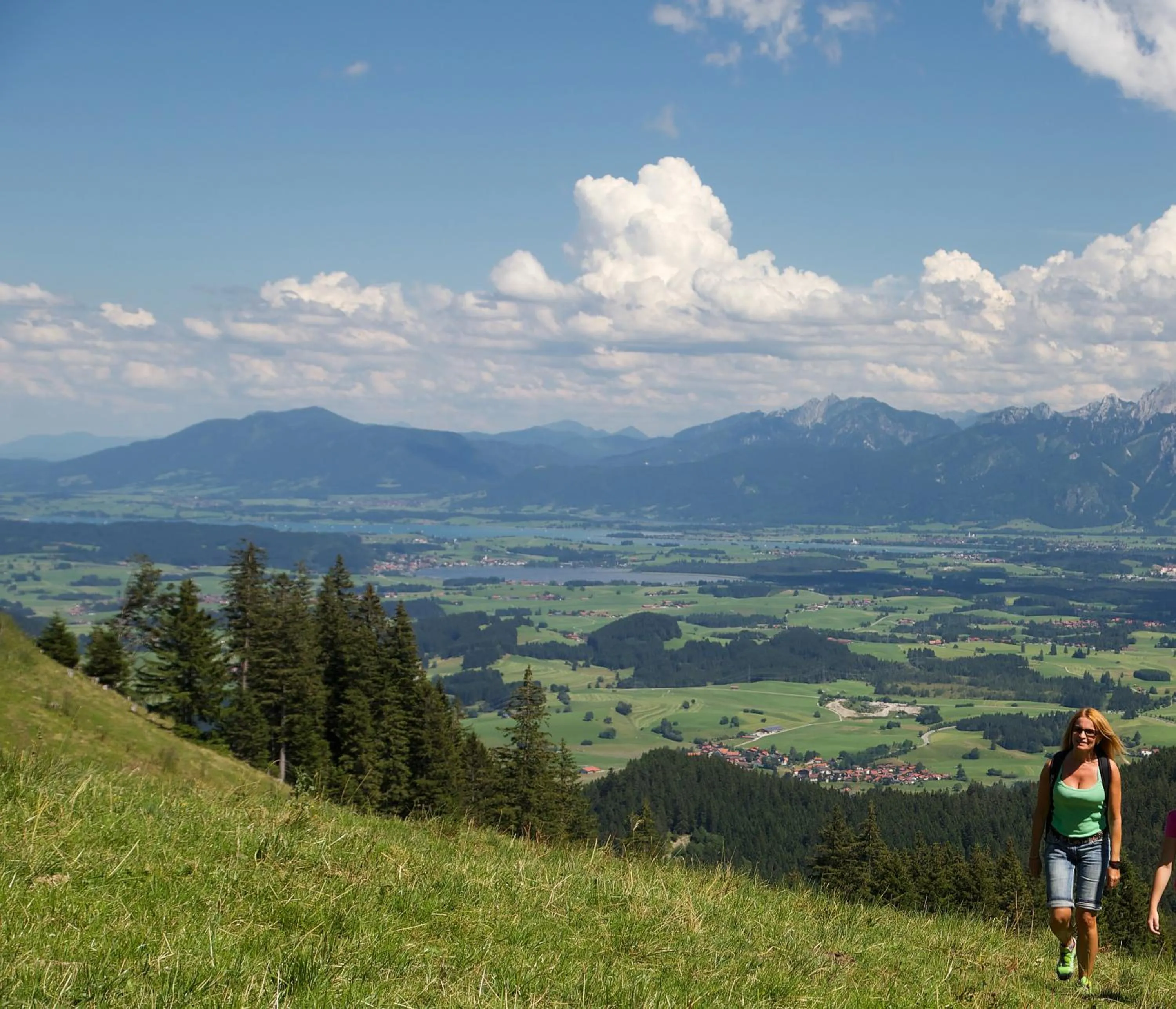 Natural landscape in Hotel Gasthof Post