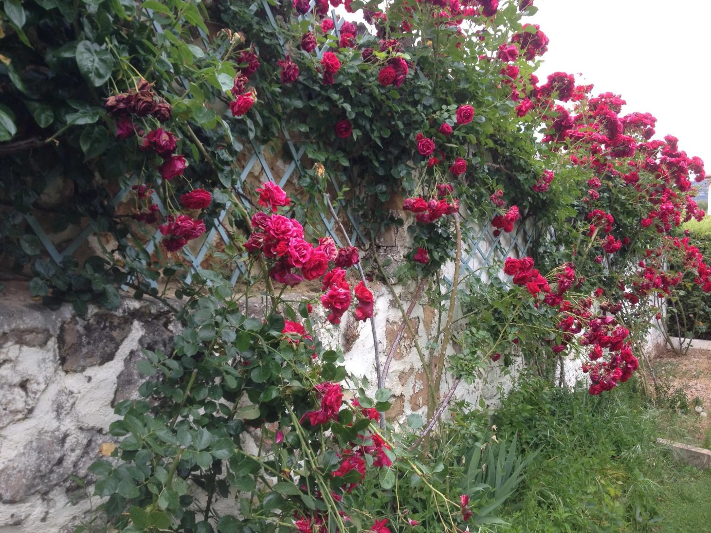 Garden in Hotel Rural Mariblanca
