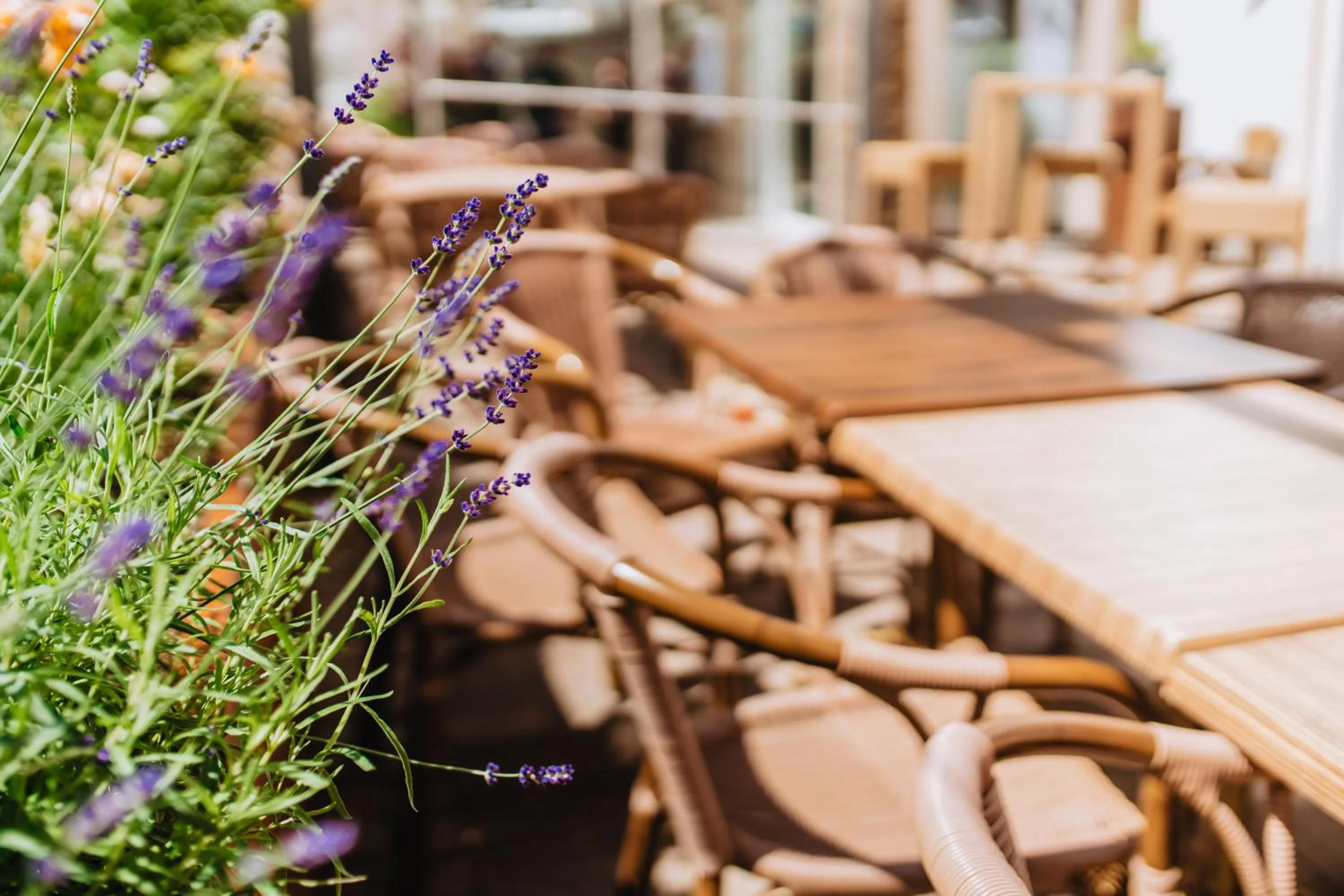 Balcony/Terrace in Best Western Plus Hotel Willingen