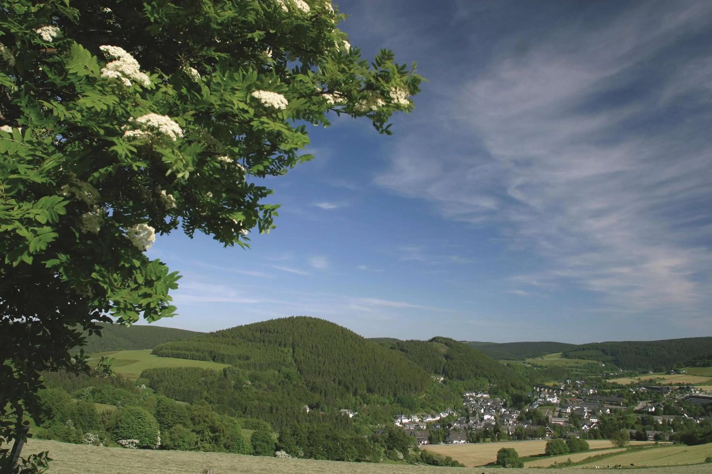 Nearby landmark in Best Western Plus Hotel Willingen