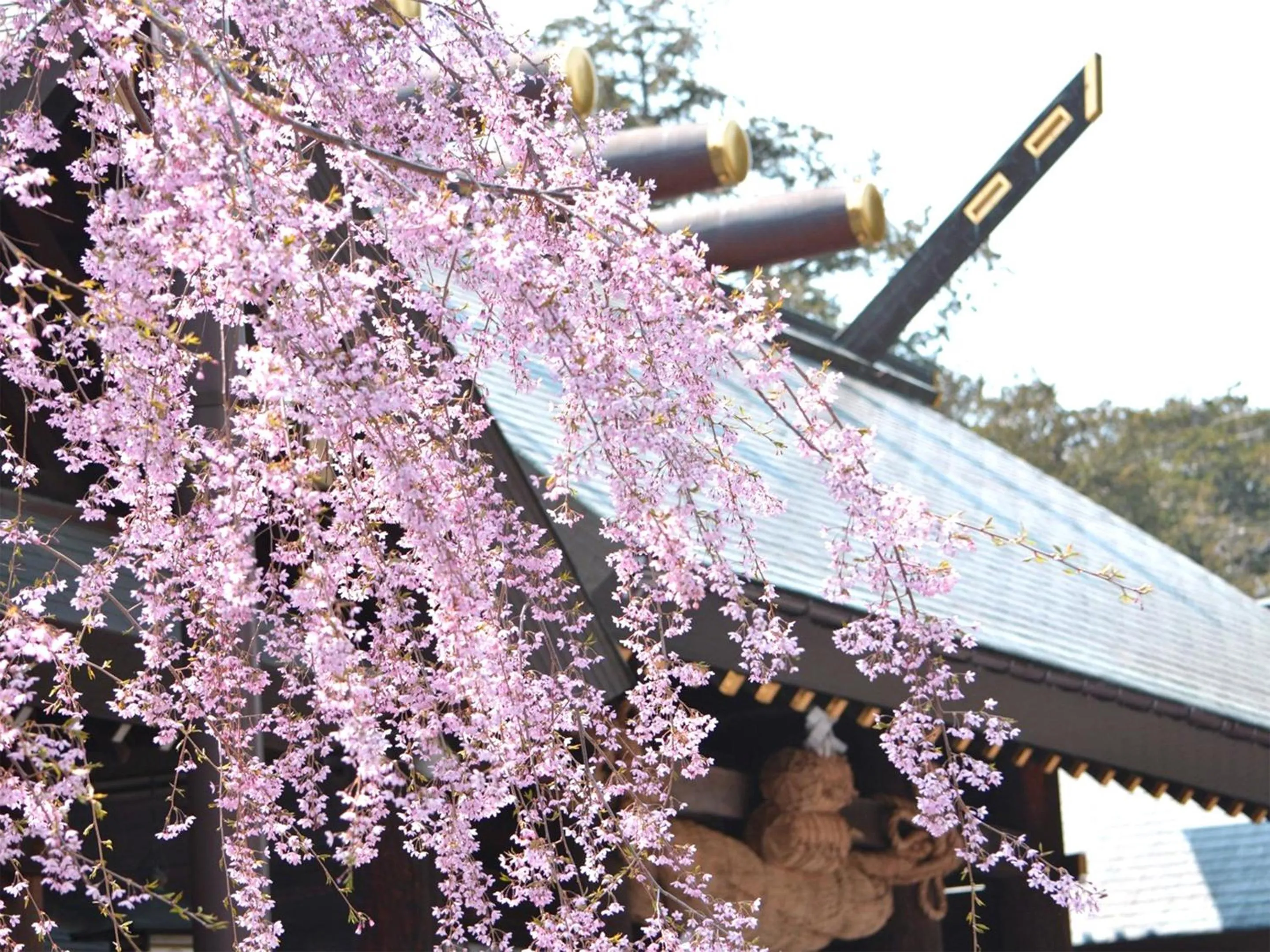 Nearby landmark in Lestel Maru