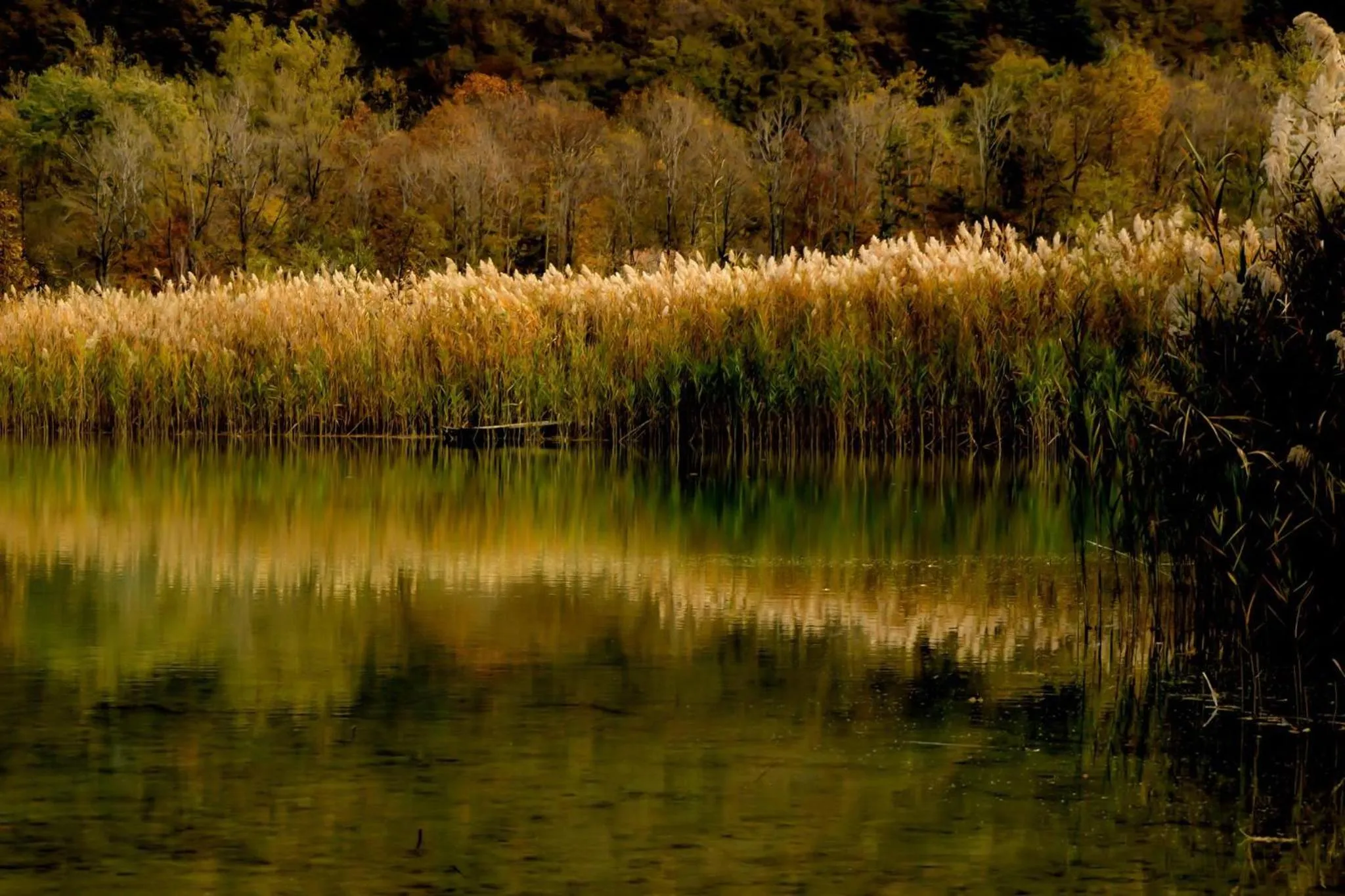 Natural landscape in HOTEL TRILAGO
