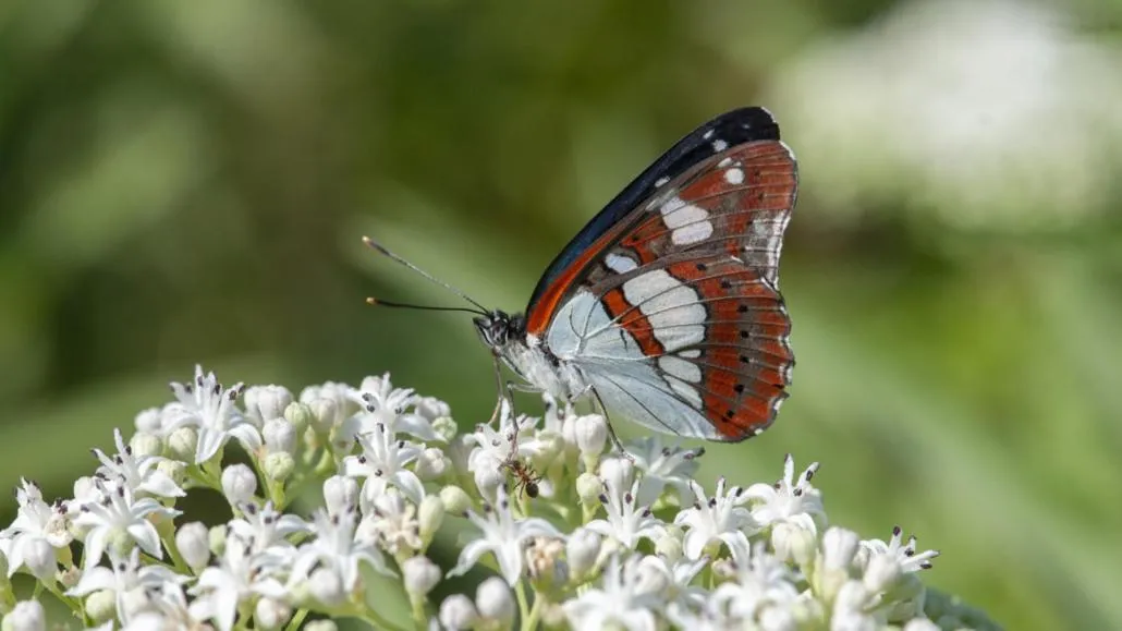 Activities in HOTEL TRILAGO