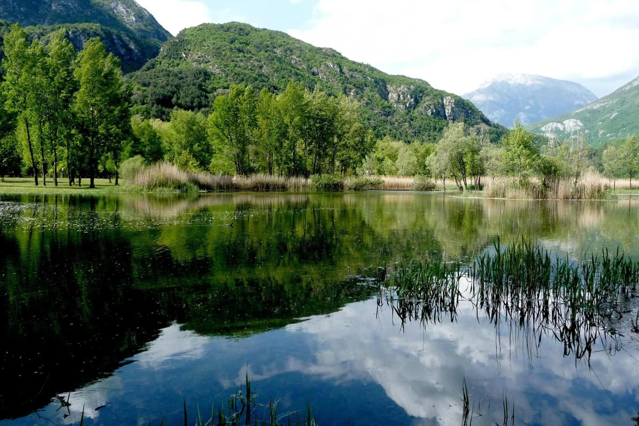 Natural landscape in HOTEL TRILAGO