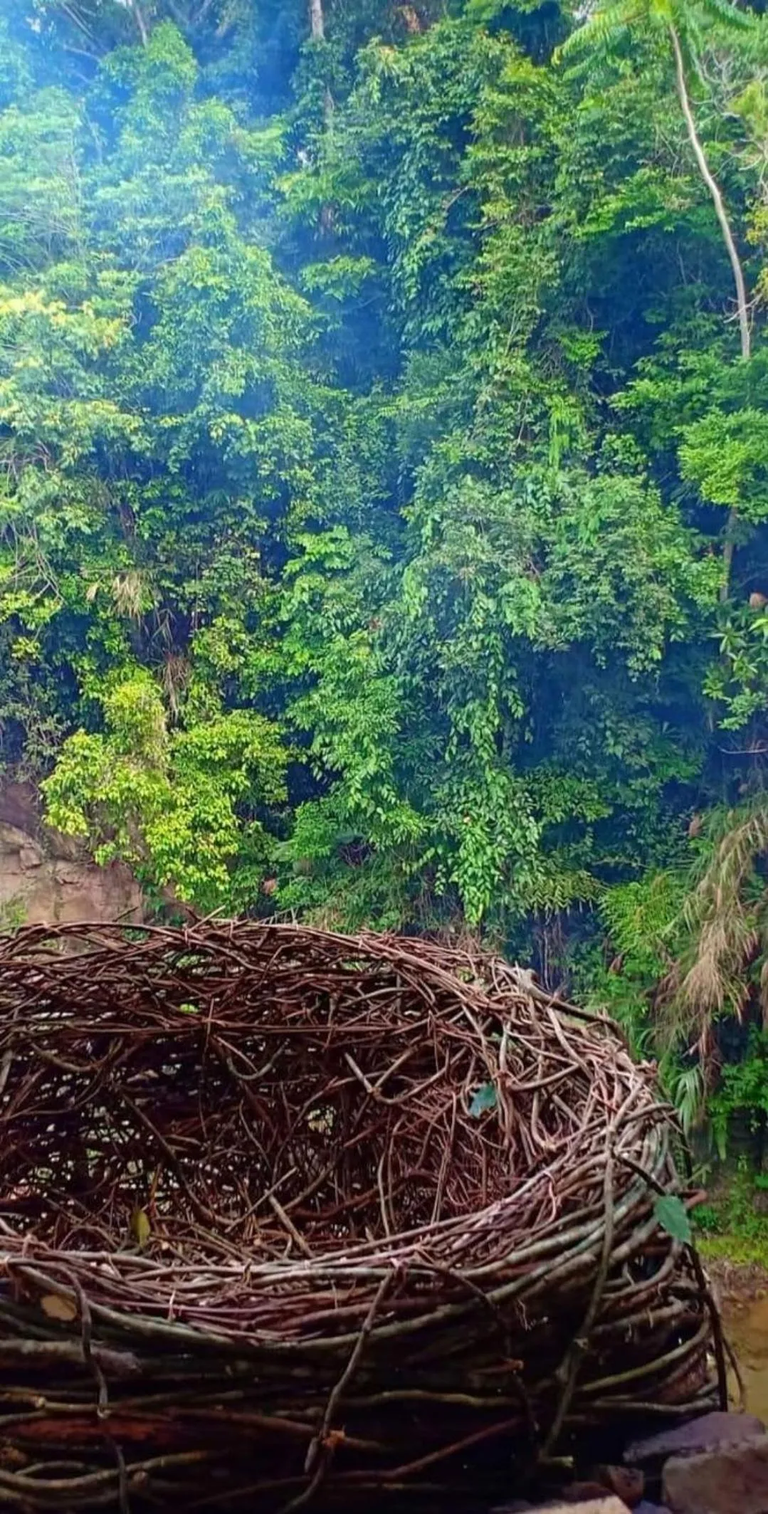 Day in La Vie Adventure Trails