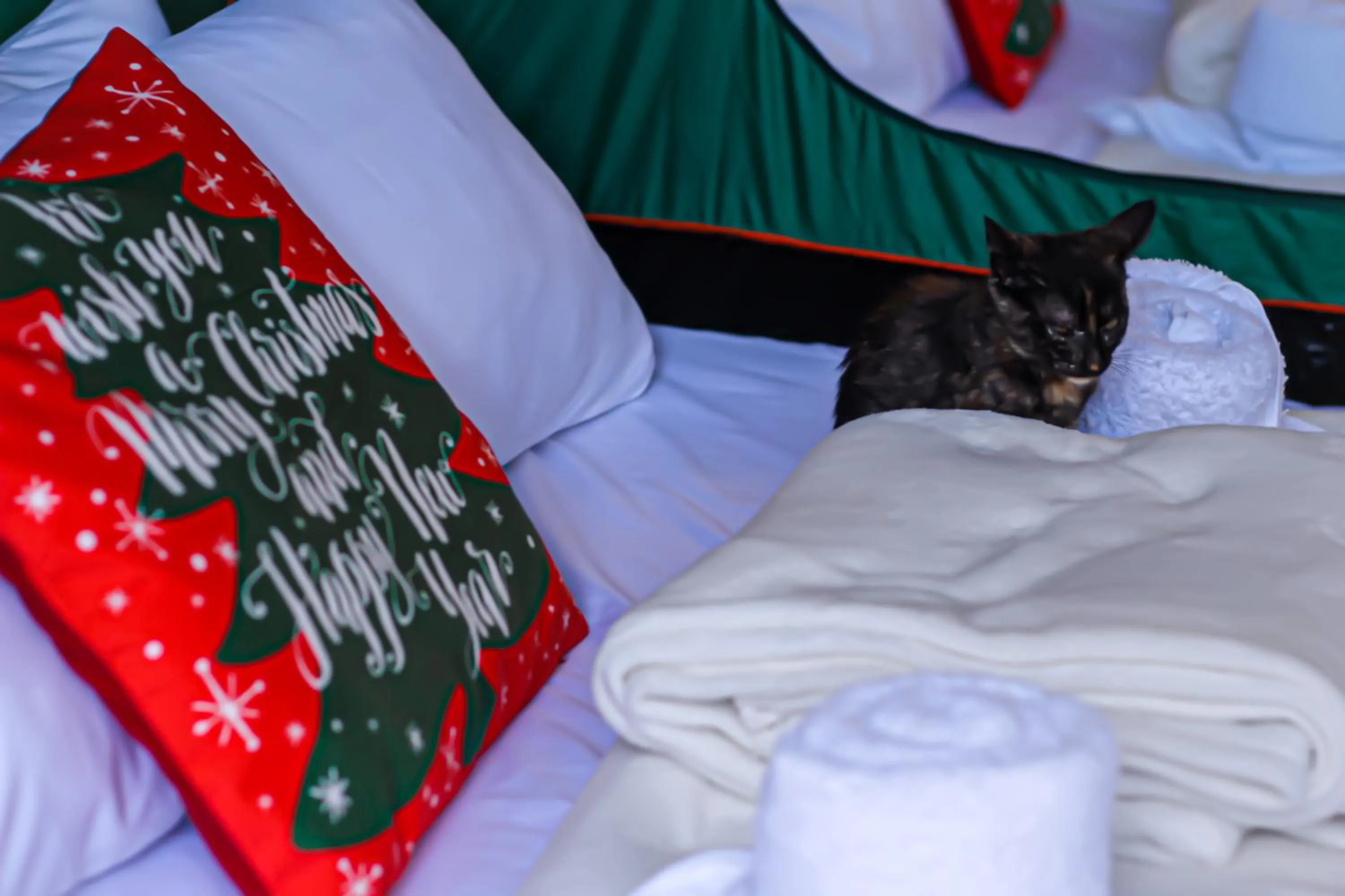 Bed in La Vie Adventure Trails