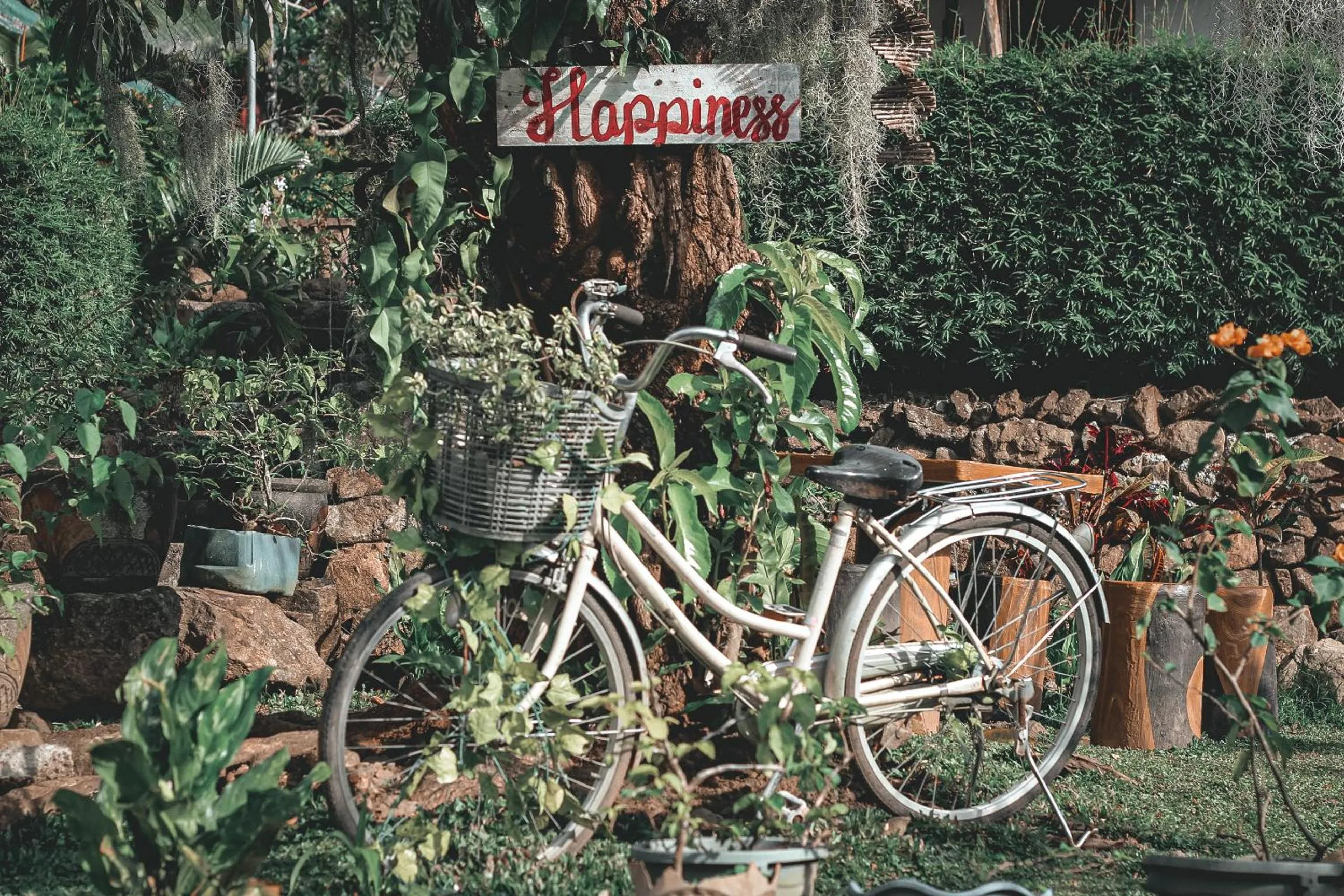 Cycling in La Vie Adventure Trails