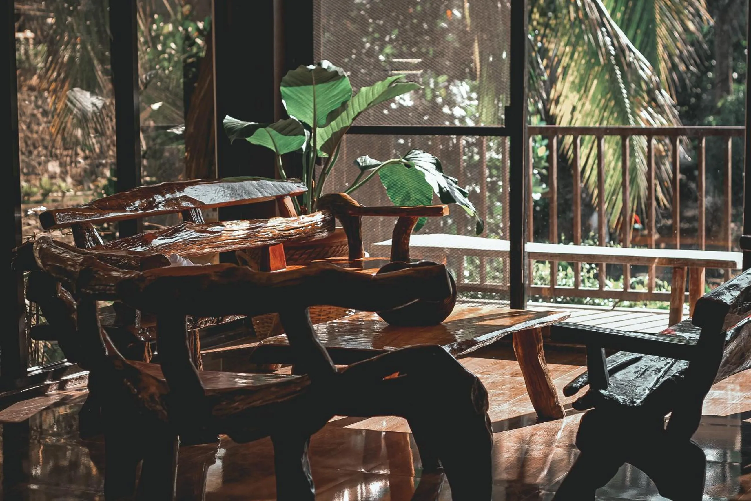 Day in La Vie Adventure Trails