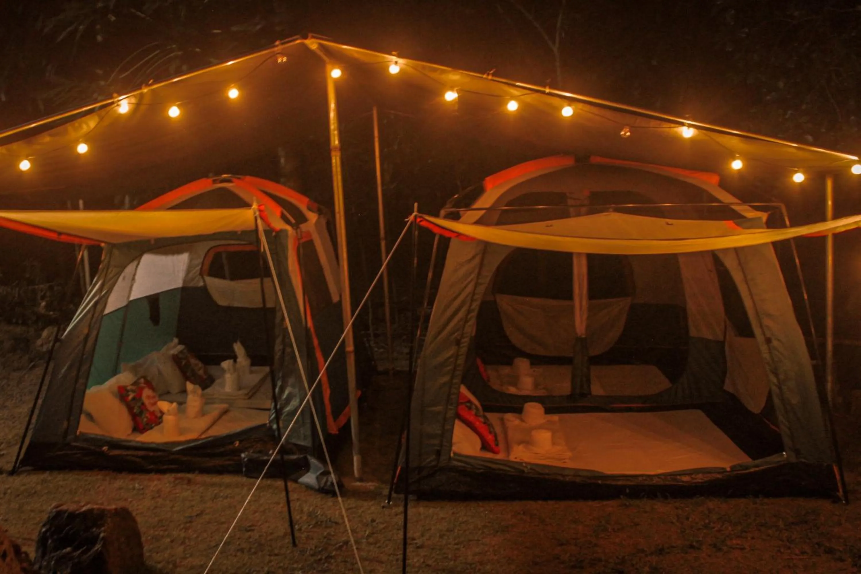 Night in La Vie Adventure Trails