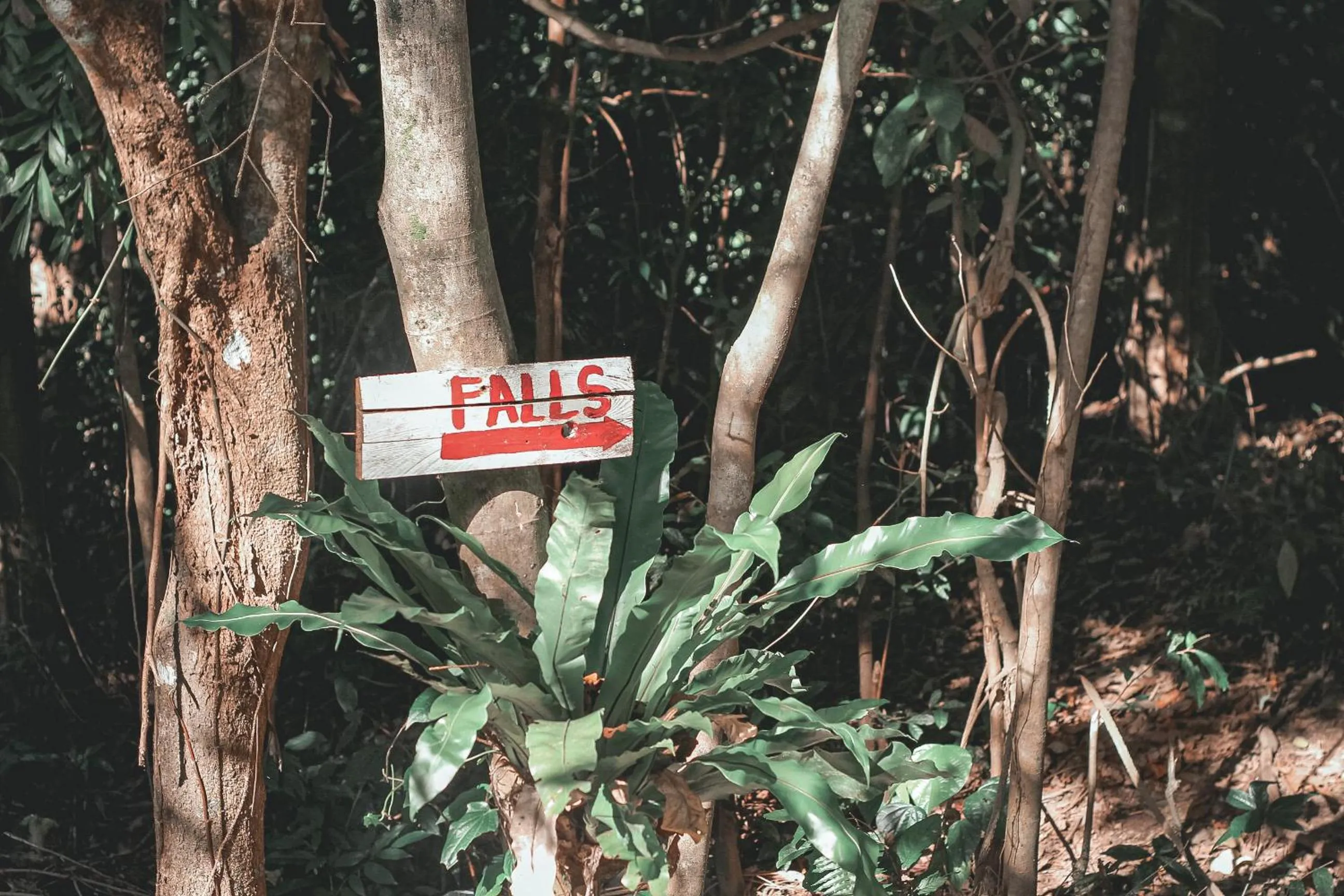 Property logo or sign in La Vie Adventure Trails