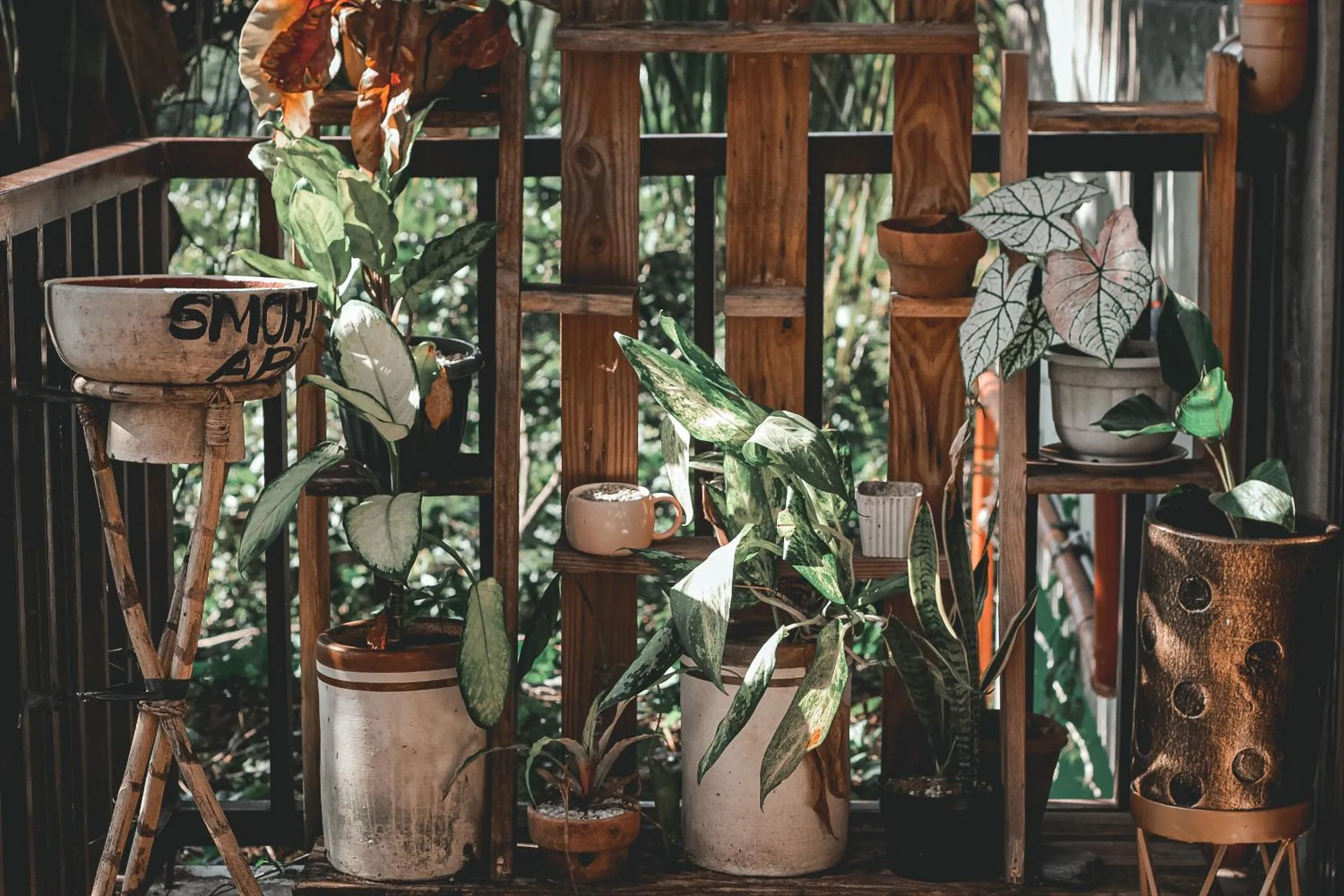 Day in La Vie Adventure Trails