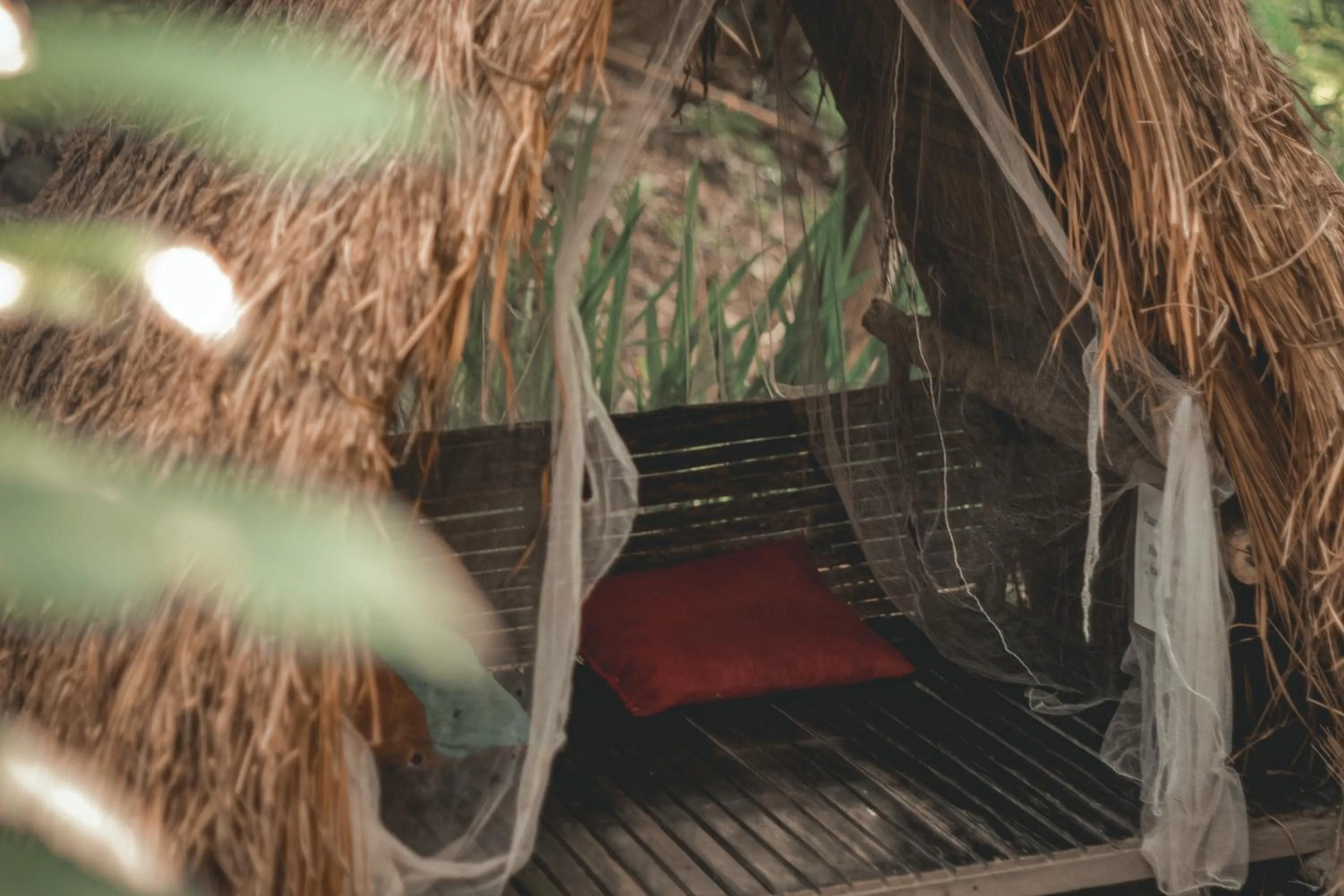 Natural landscape in La Vie Adventure Trails