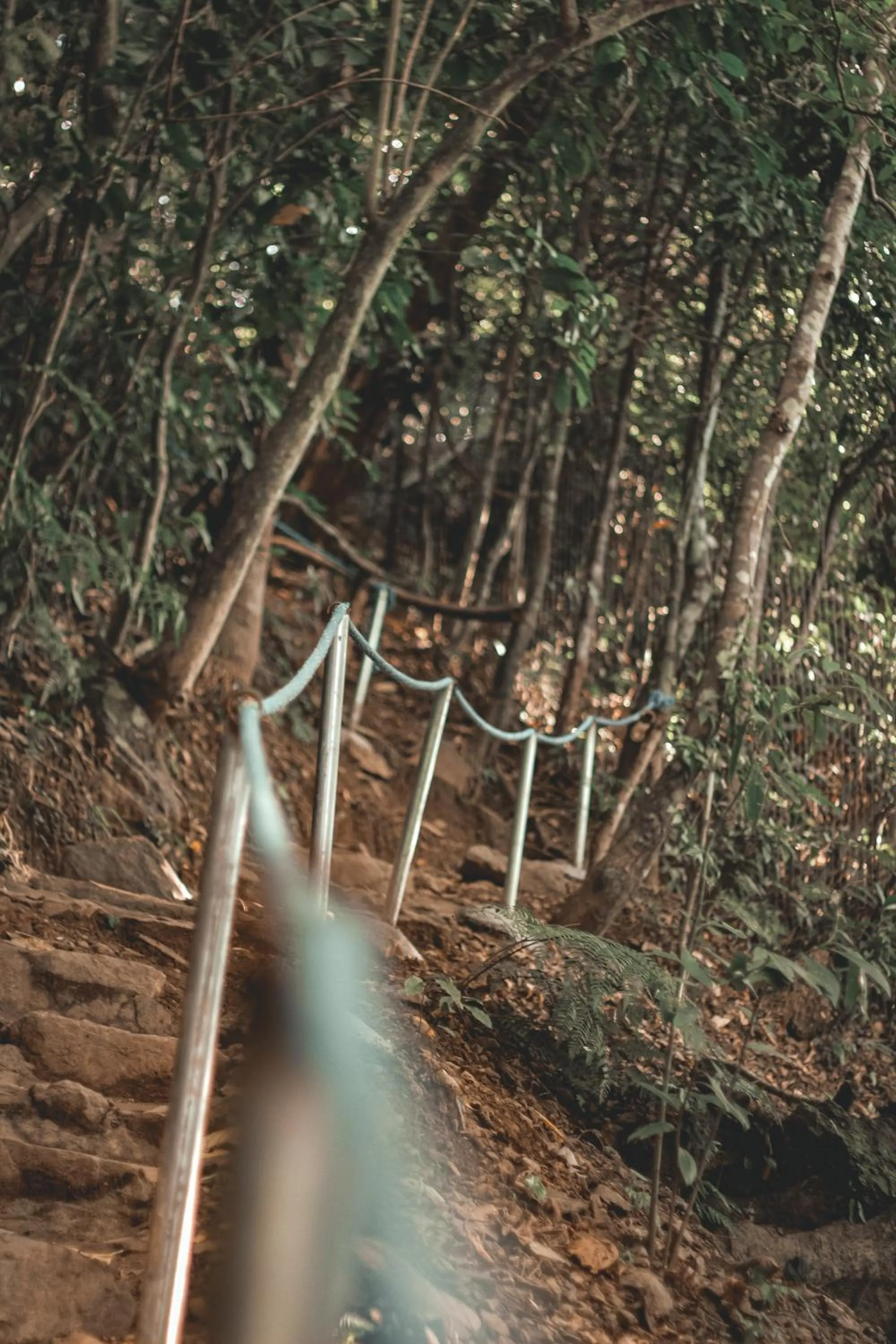 Natural landscape in La Vie Adventure Trails