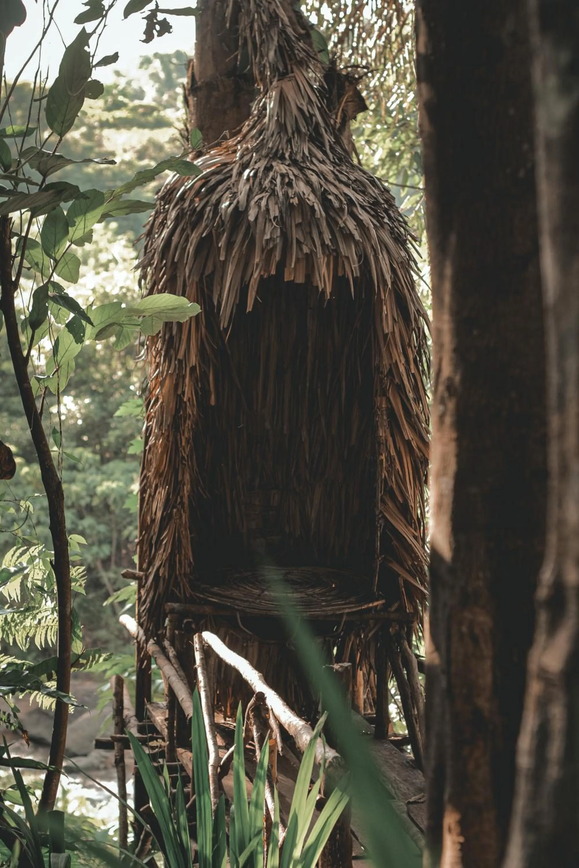 Natural landscape in La Vie Adventure Trails