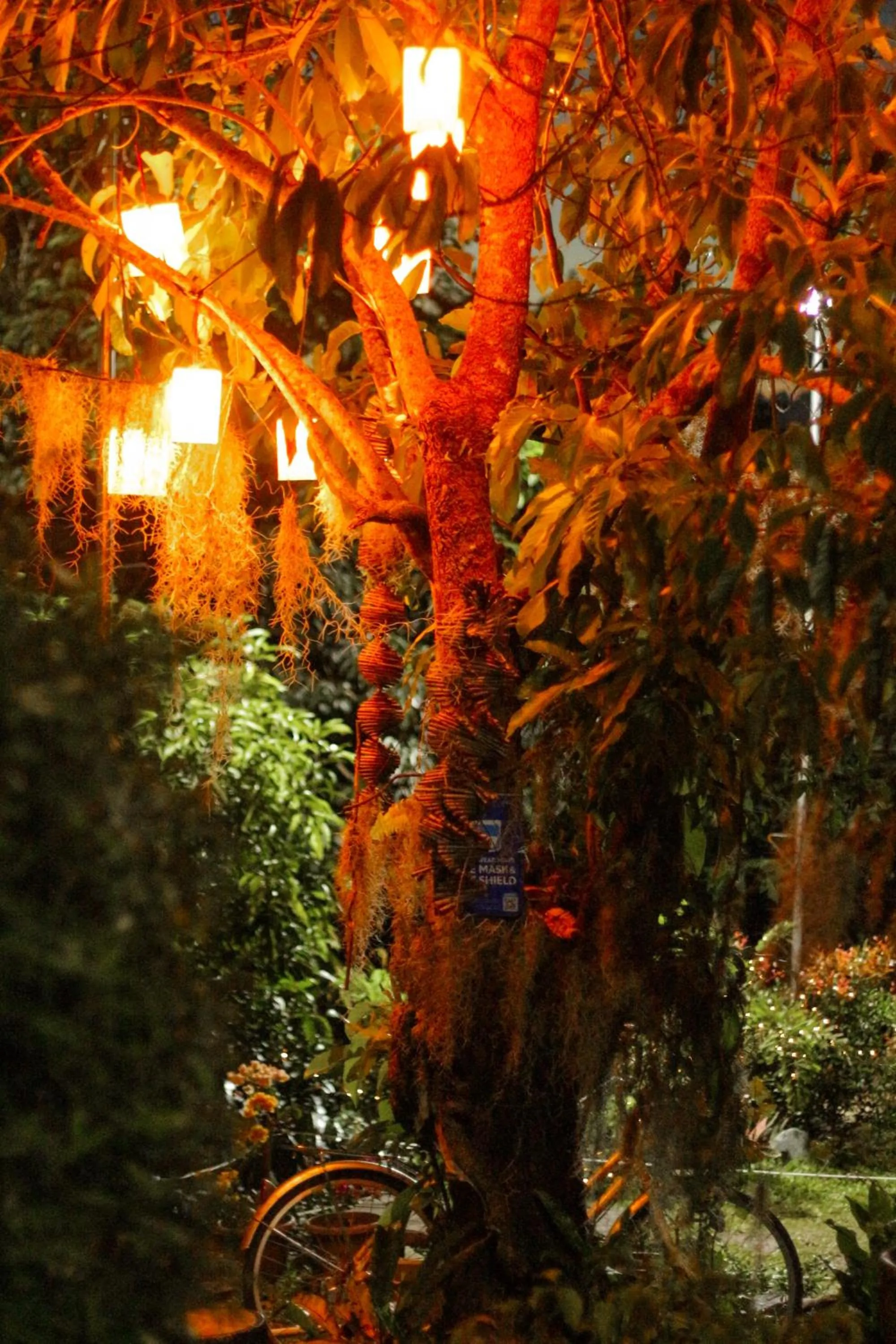 Night in La Vie Adventure Trails