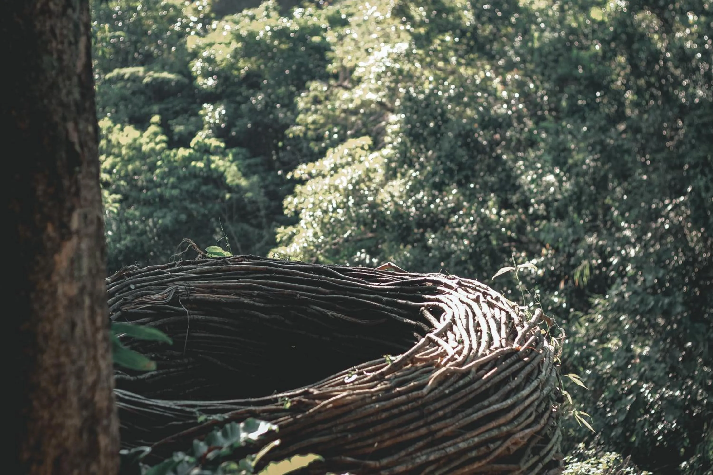 Natural landscape in La Vie Adventure Trails