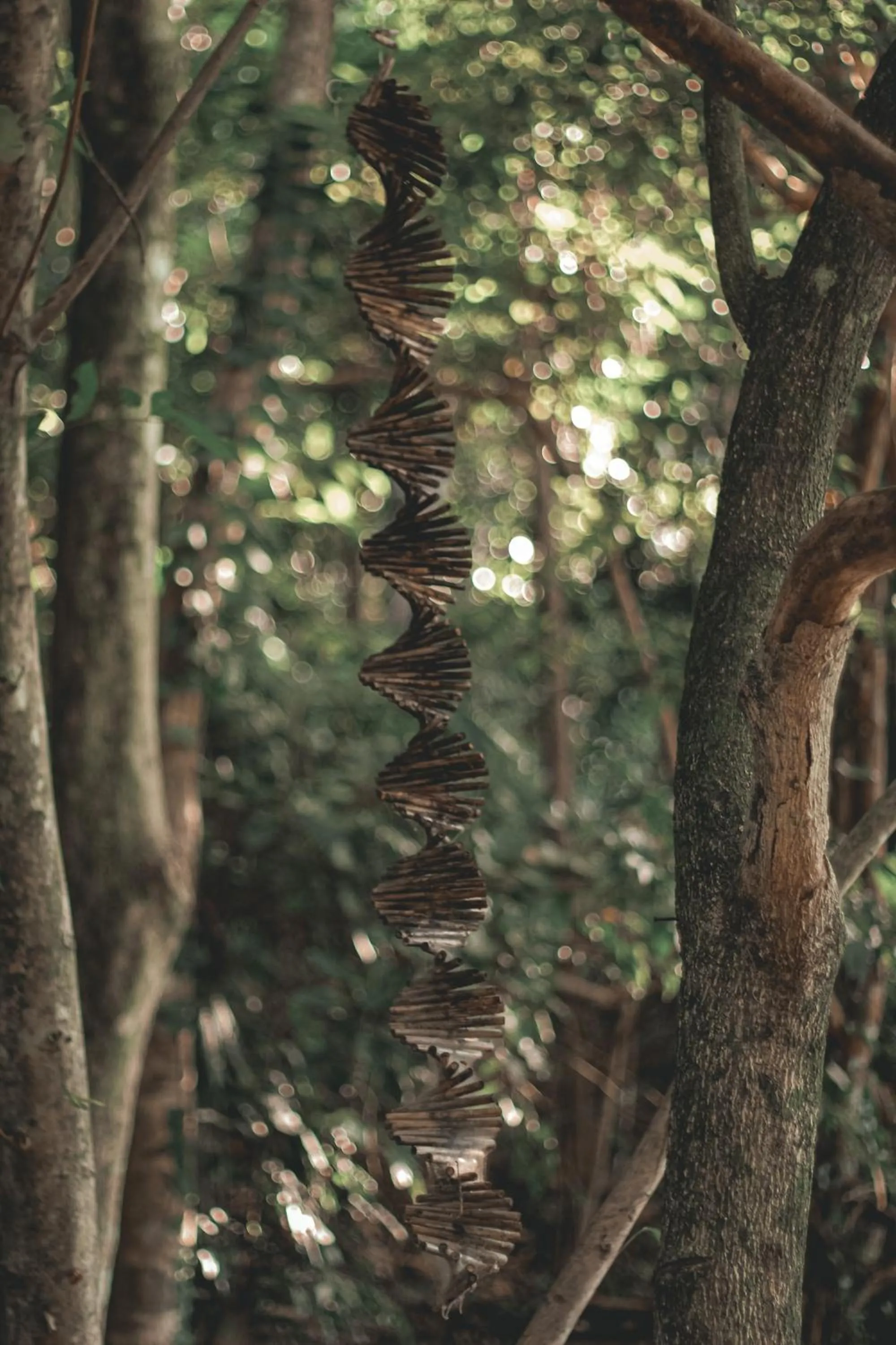 Natural landscape in La Vie Adventure Trails