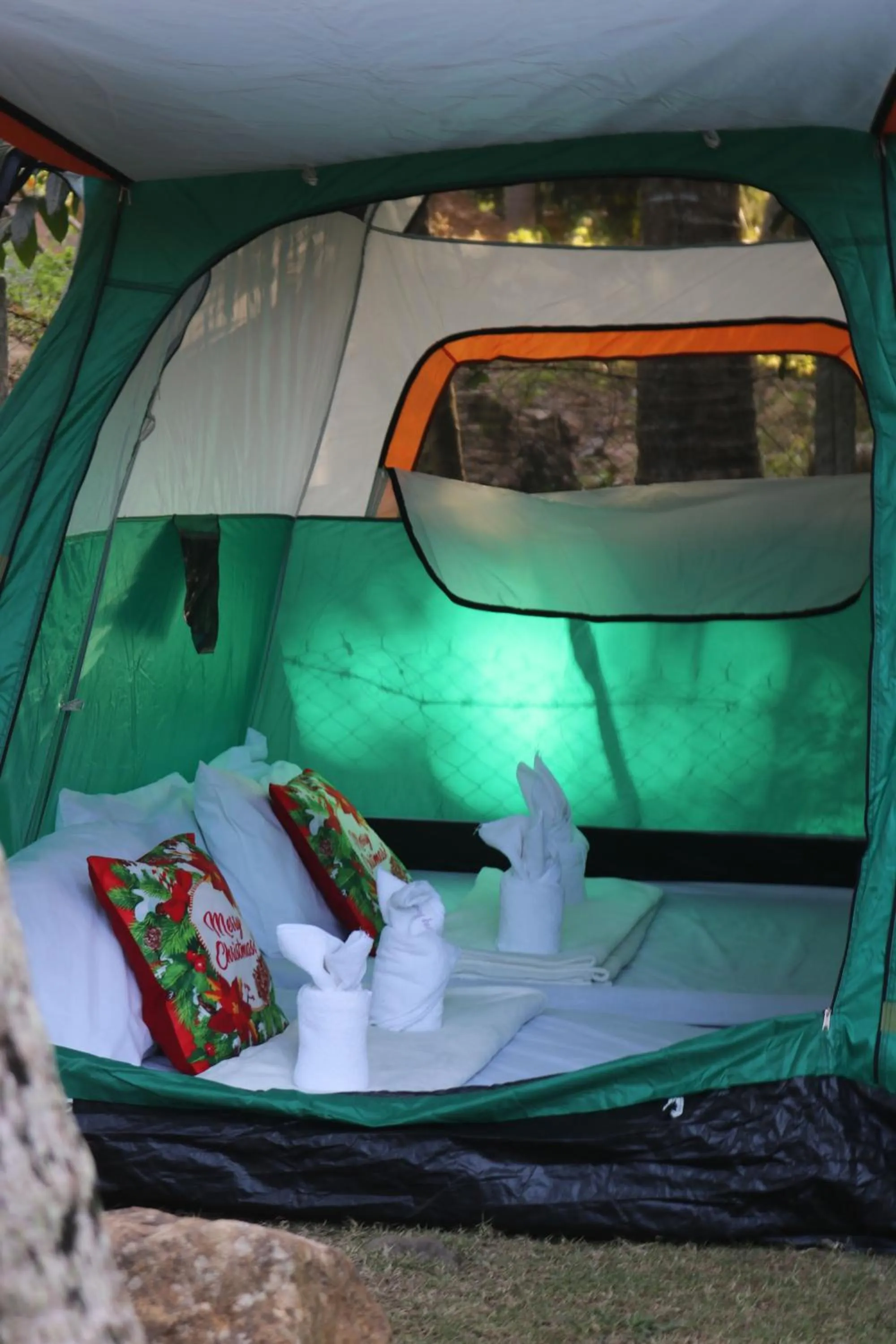 Bed in La Vie Adventure Trails