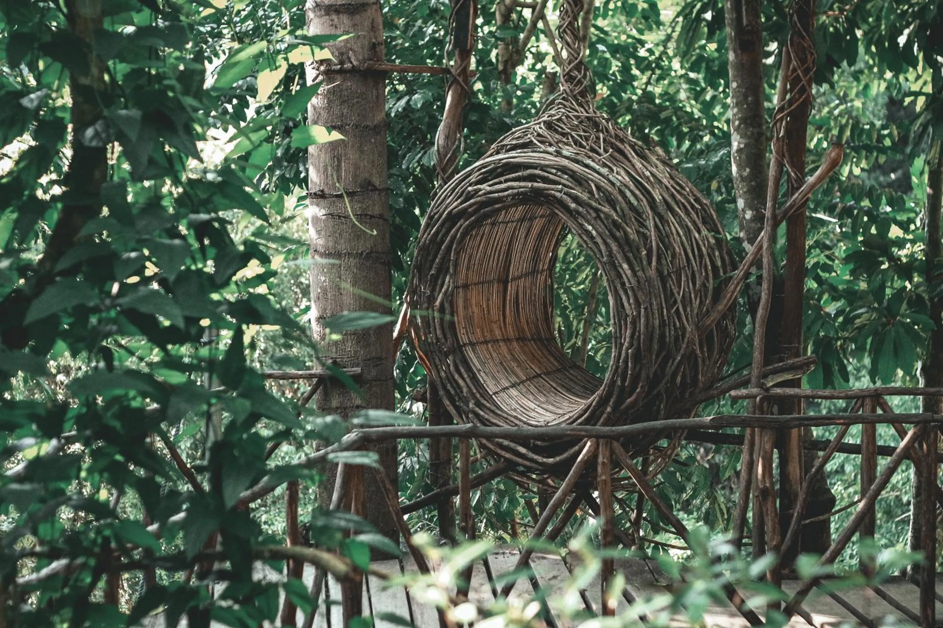 Natural landscape in La Vie Adventure Trails