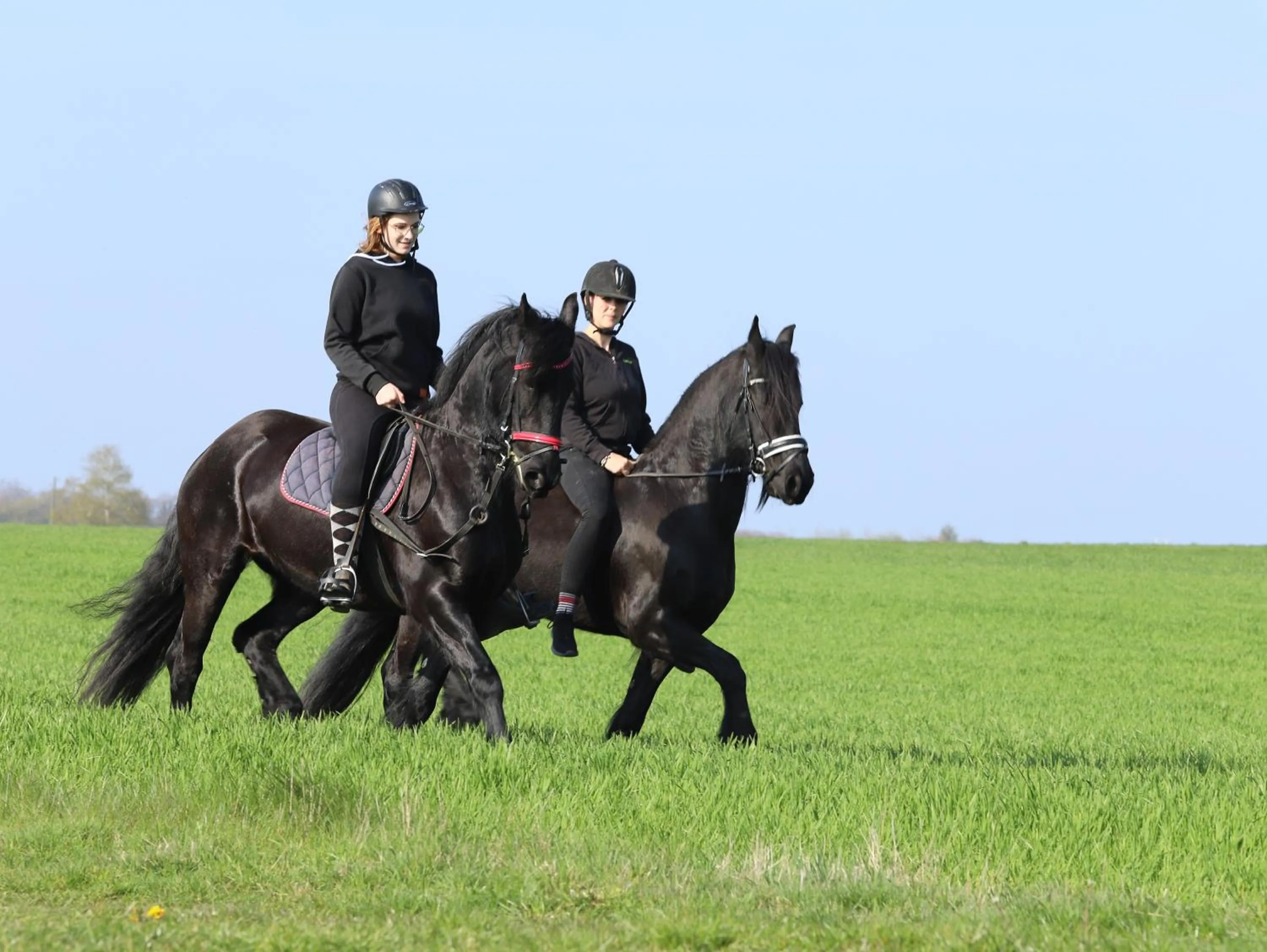 Horse-riding in Hotel Koch Schilt