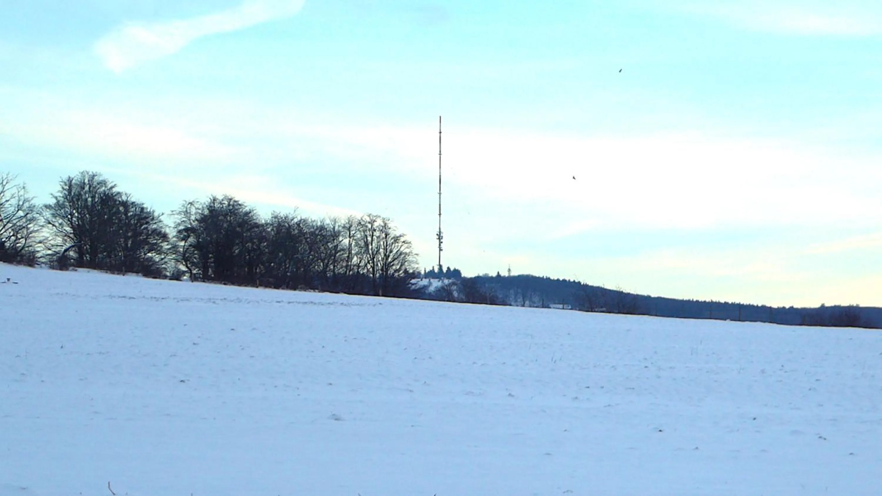 Staff in Pension Gasthof Zum Lamm