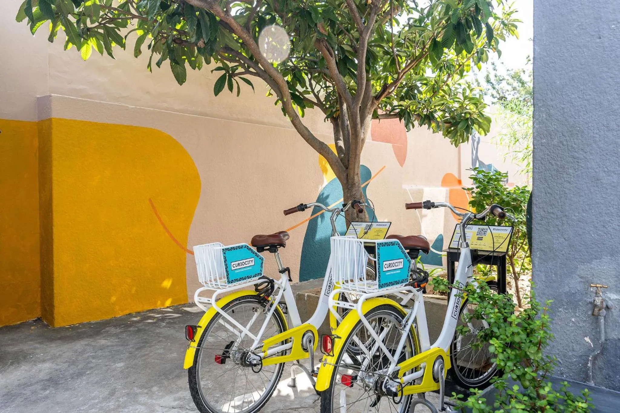 Other in CURIOCITY Kloof Street