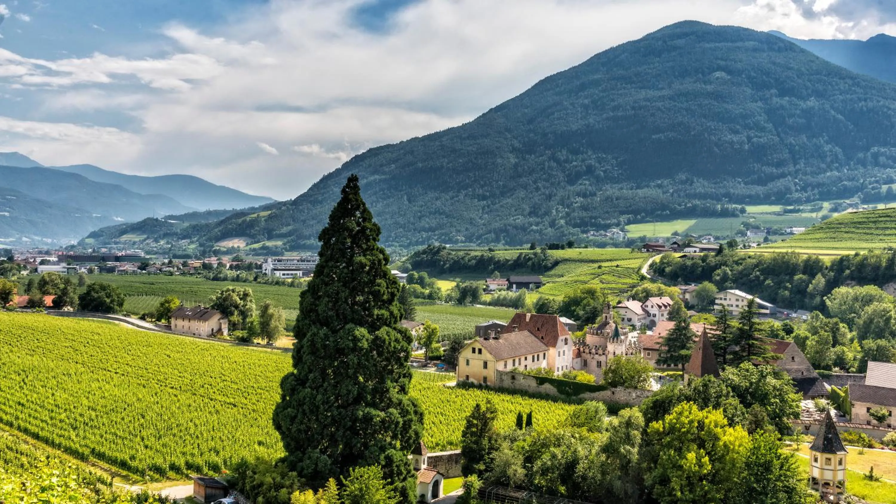 Natural landscape in Hotel Brückenwirt