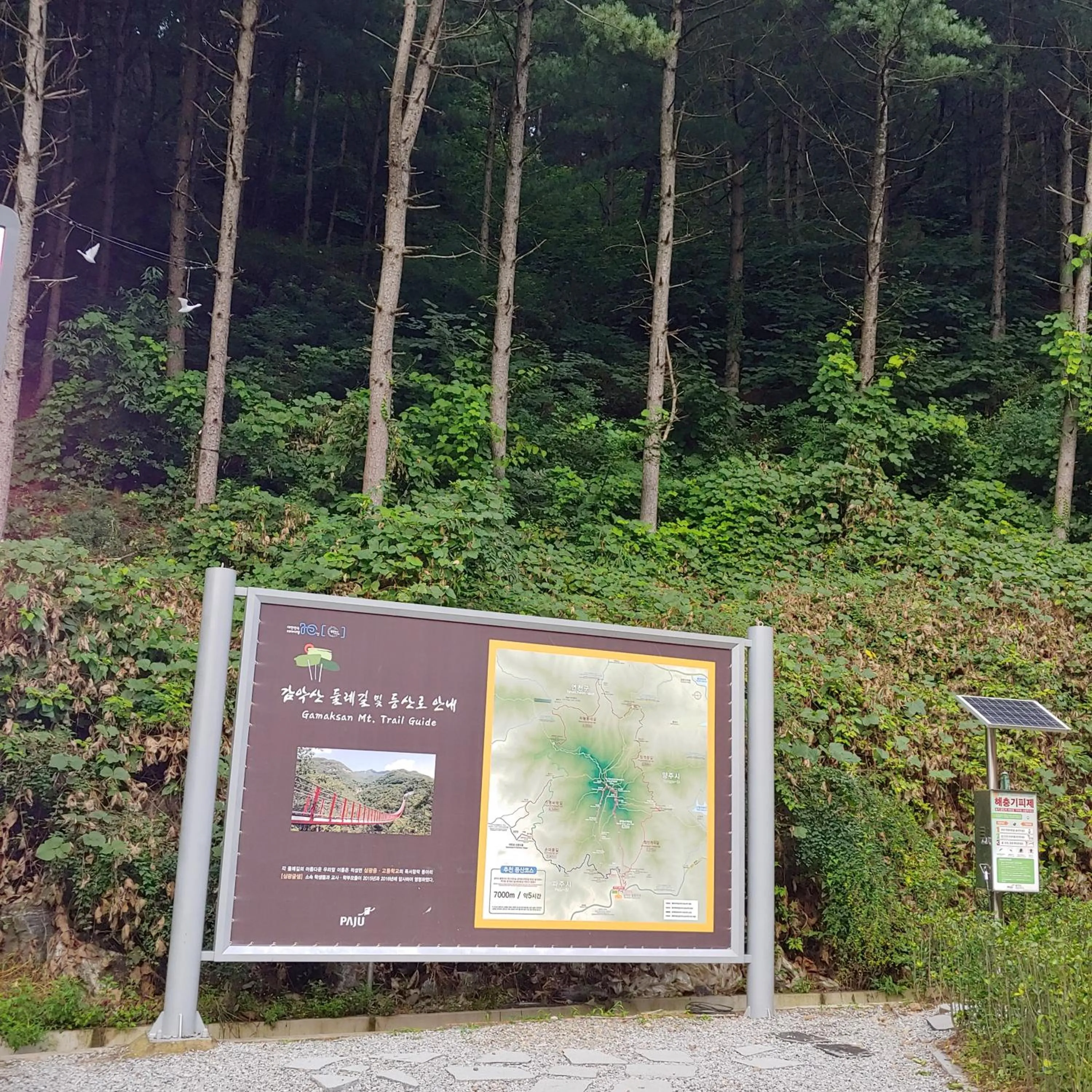 Paju Gamaksan Pension