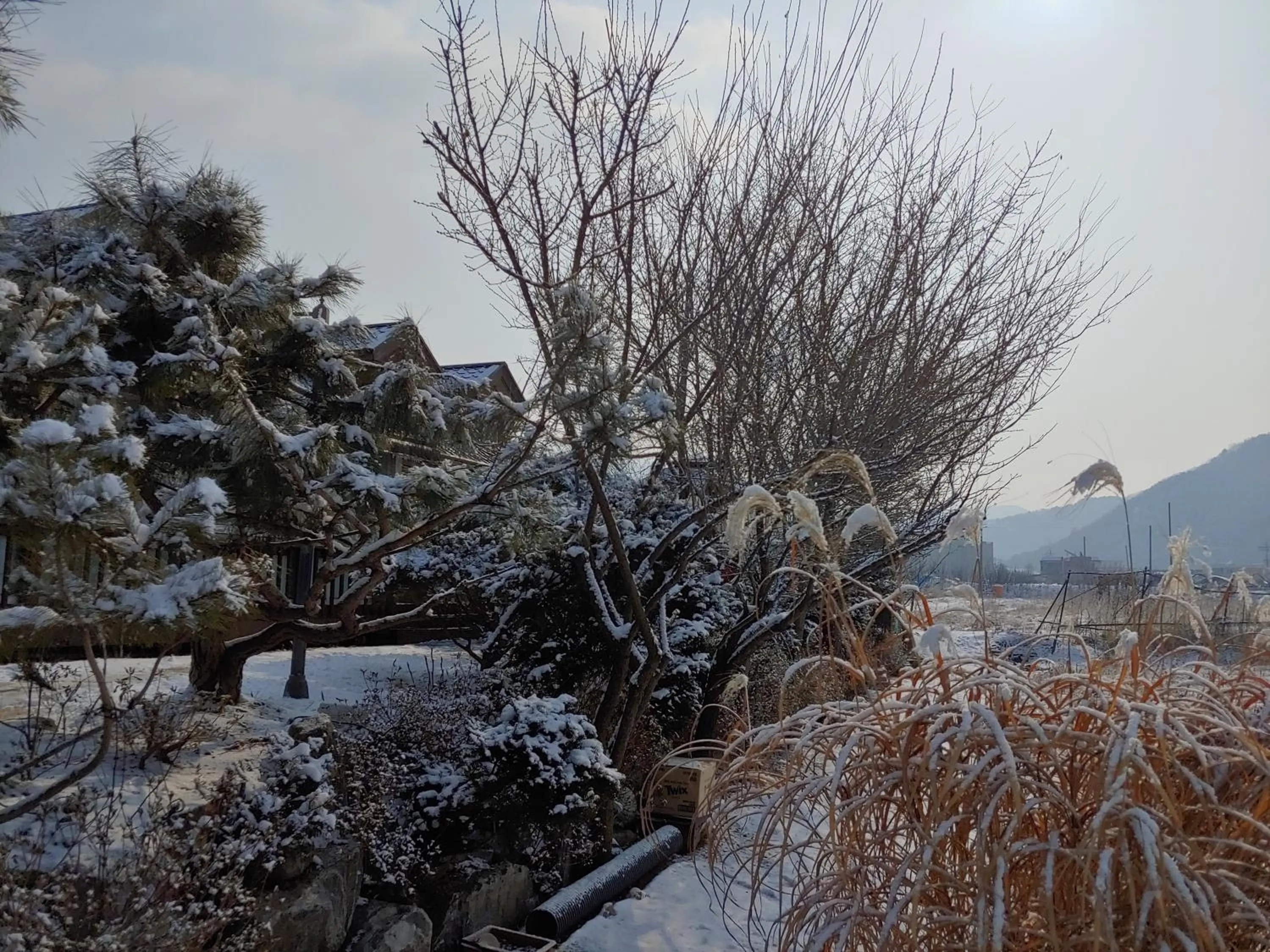 Paju Gamaksan Pension