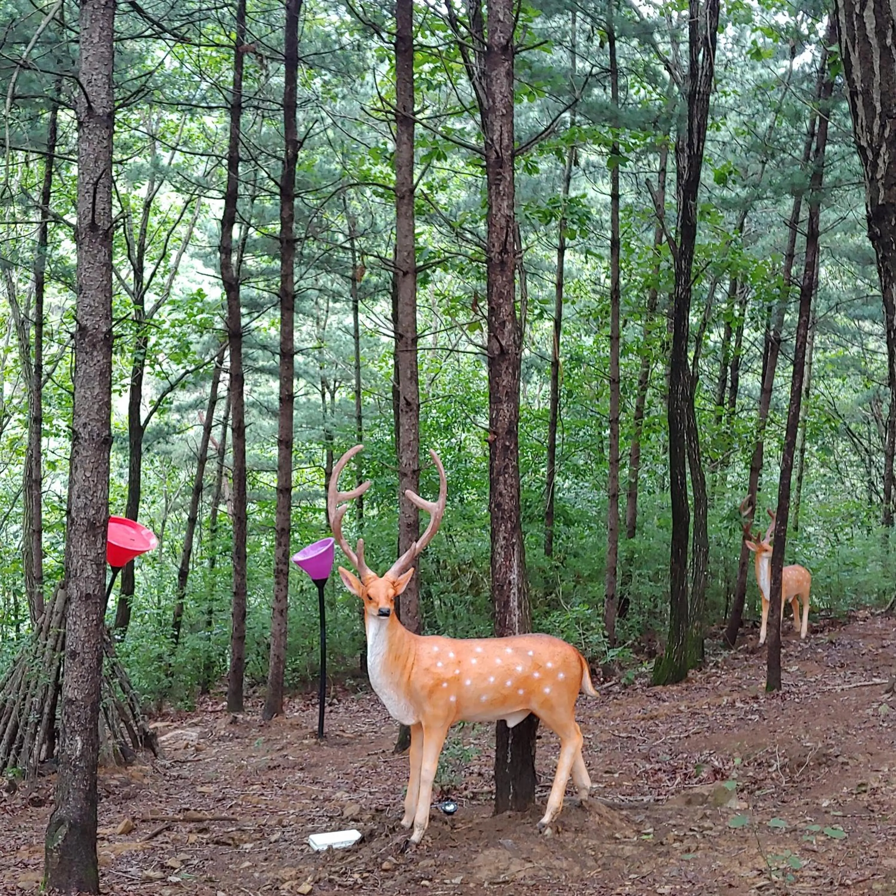 Paju Gamaksan Pension