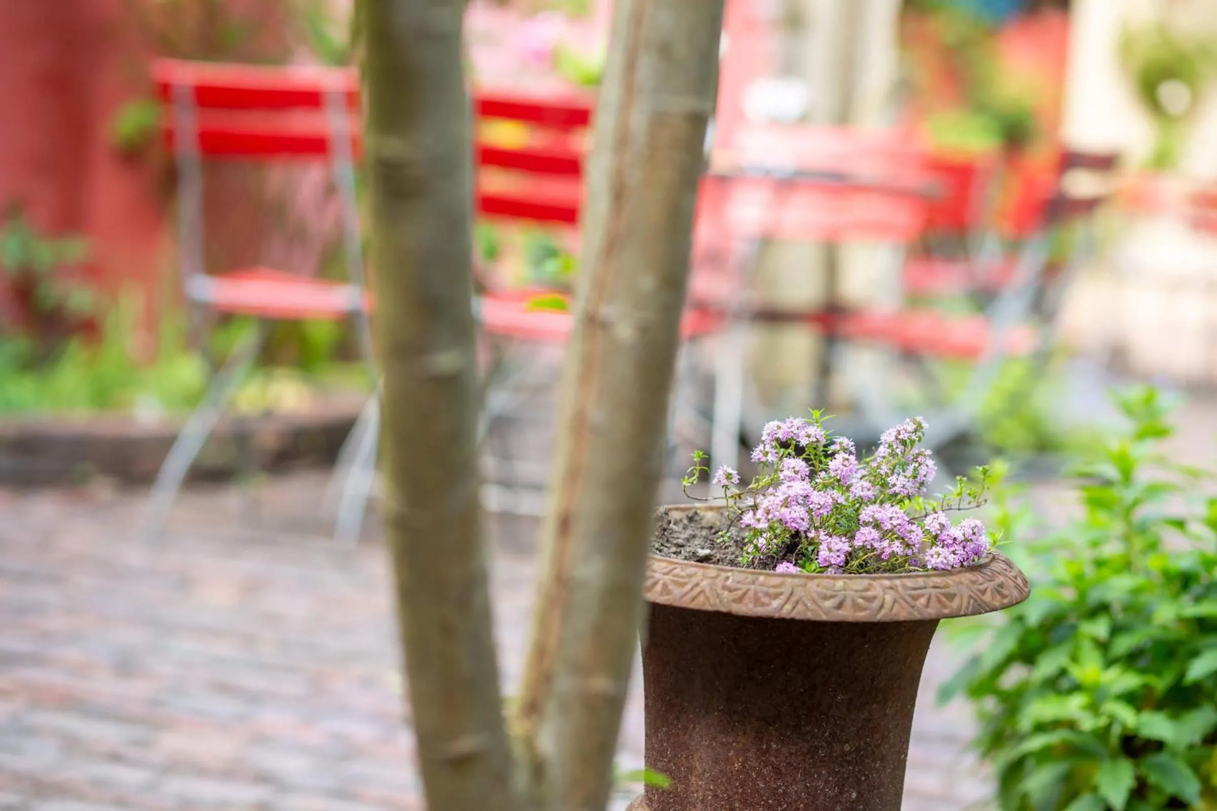 Patio in Hotel Tafelfreuden