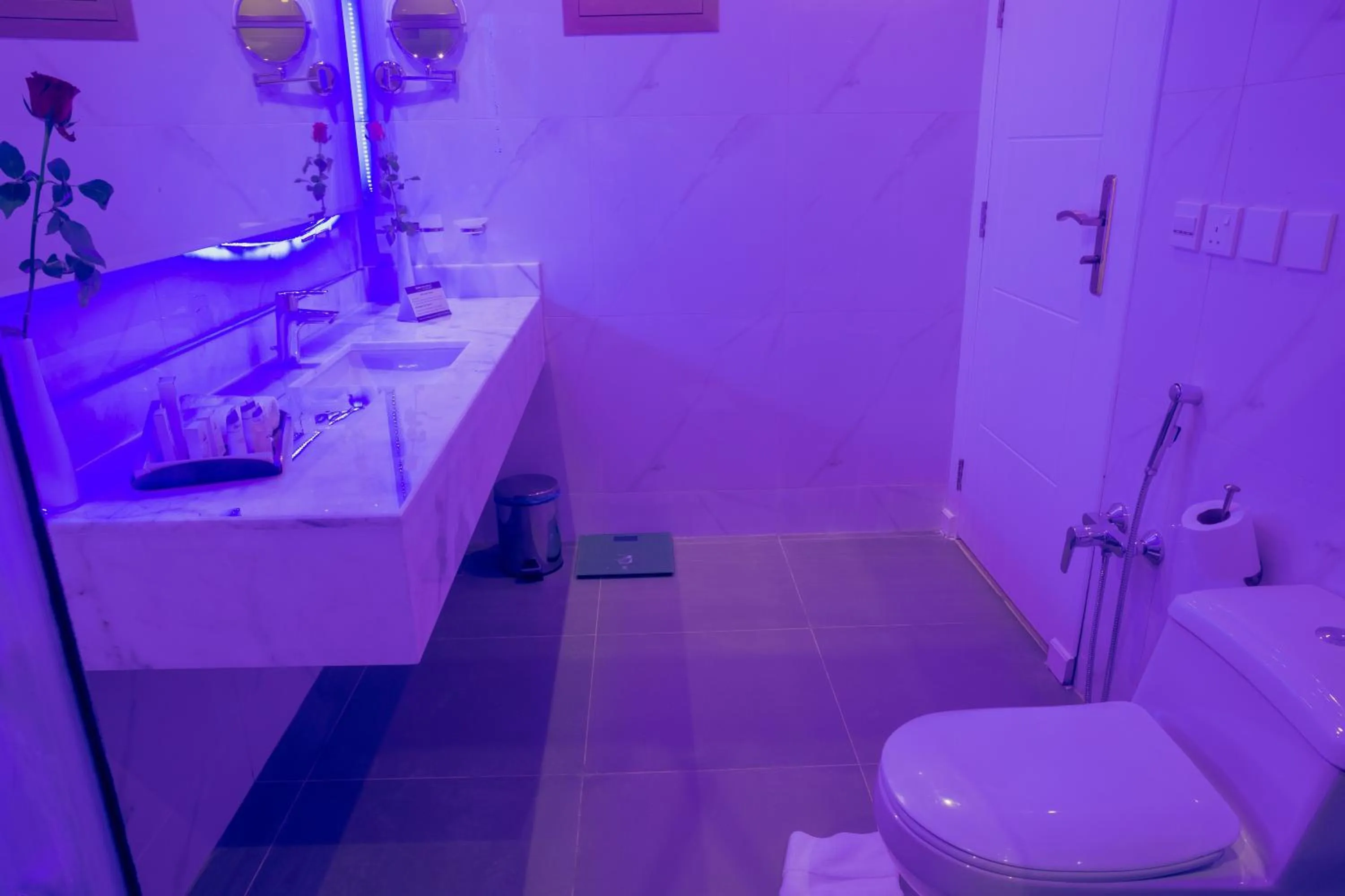 Toilet in Swiss Luxury Villas