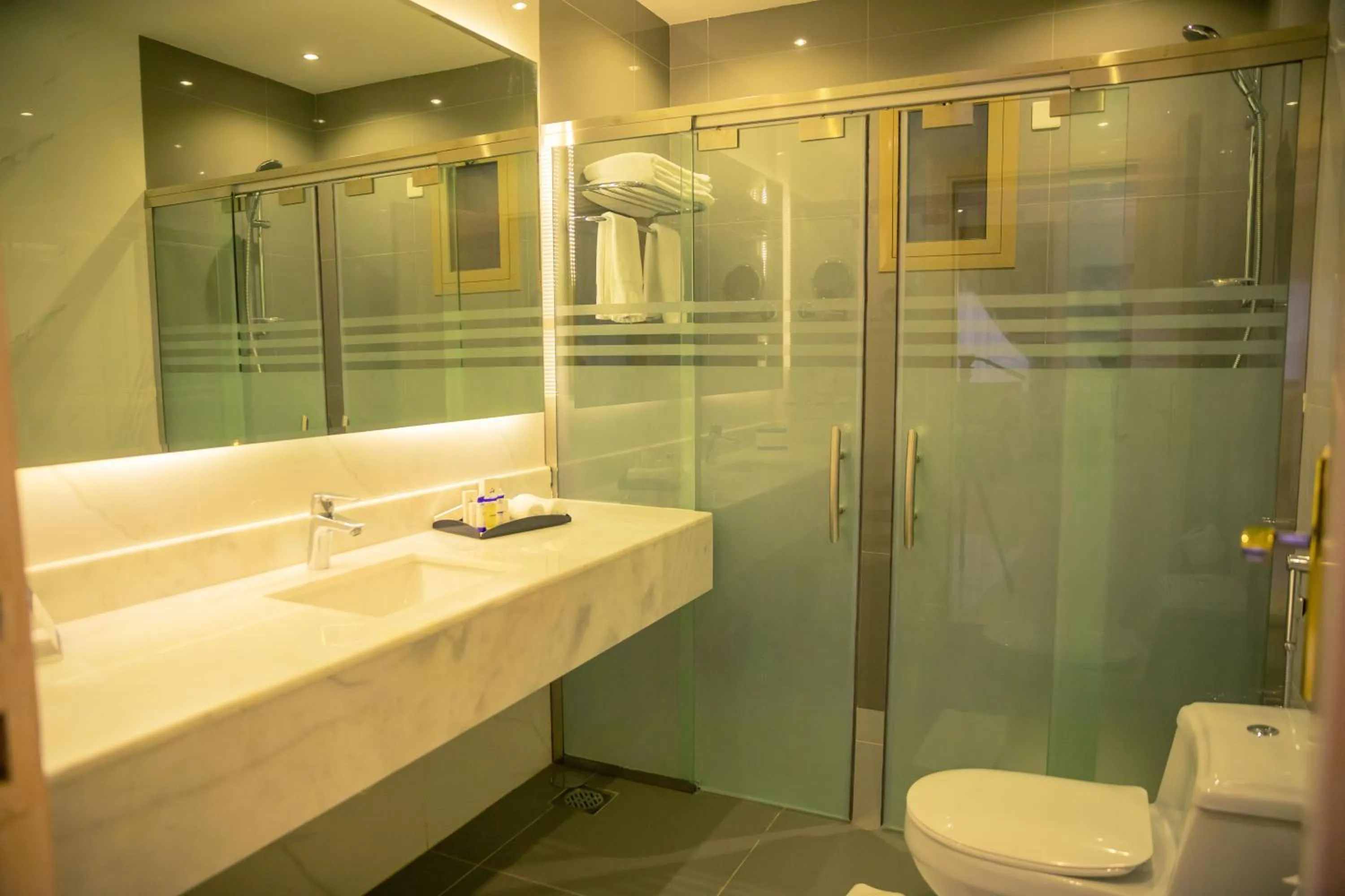 Toilet in Swiss Luxury Villas