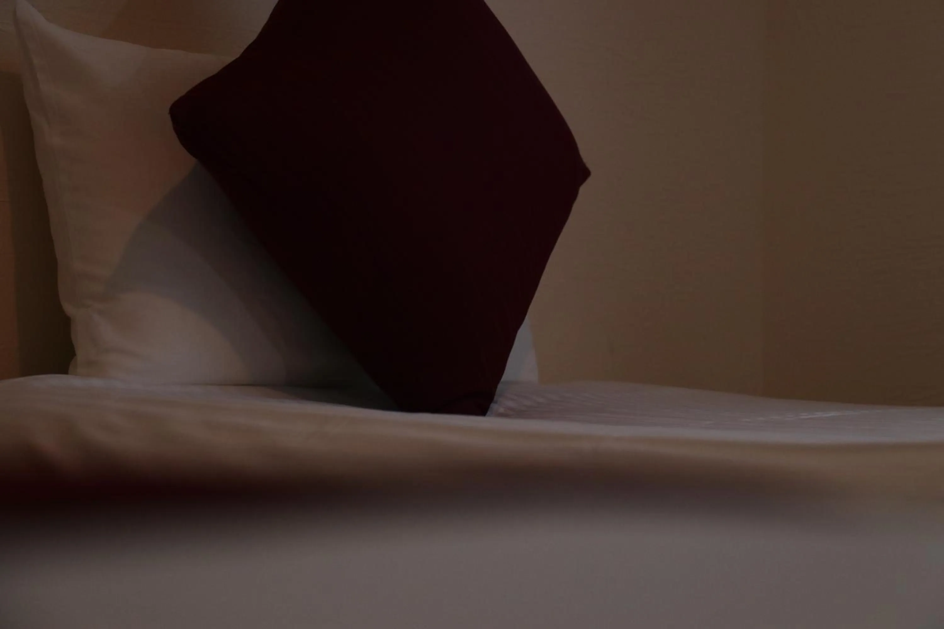 AsobiBASE Yamabare-House