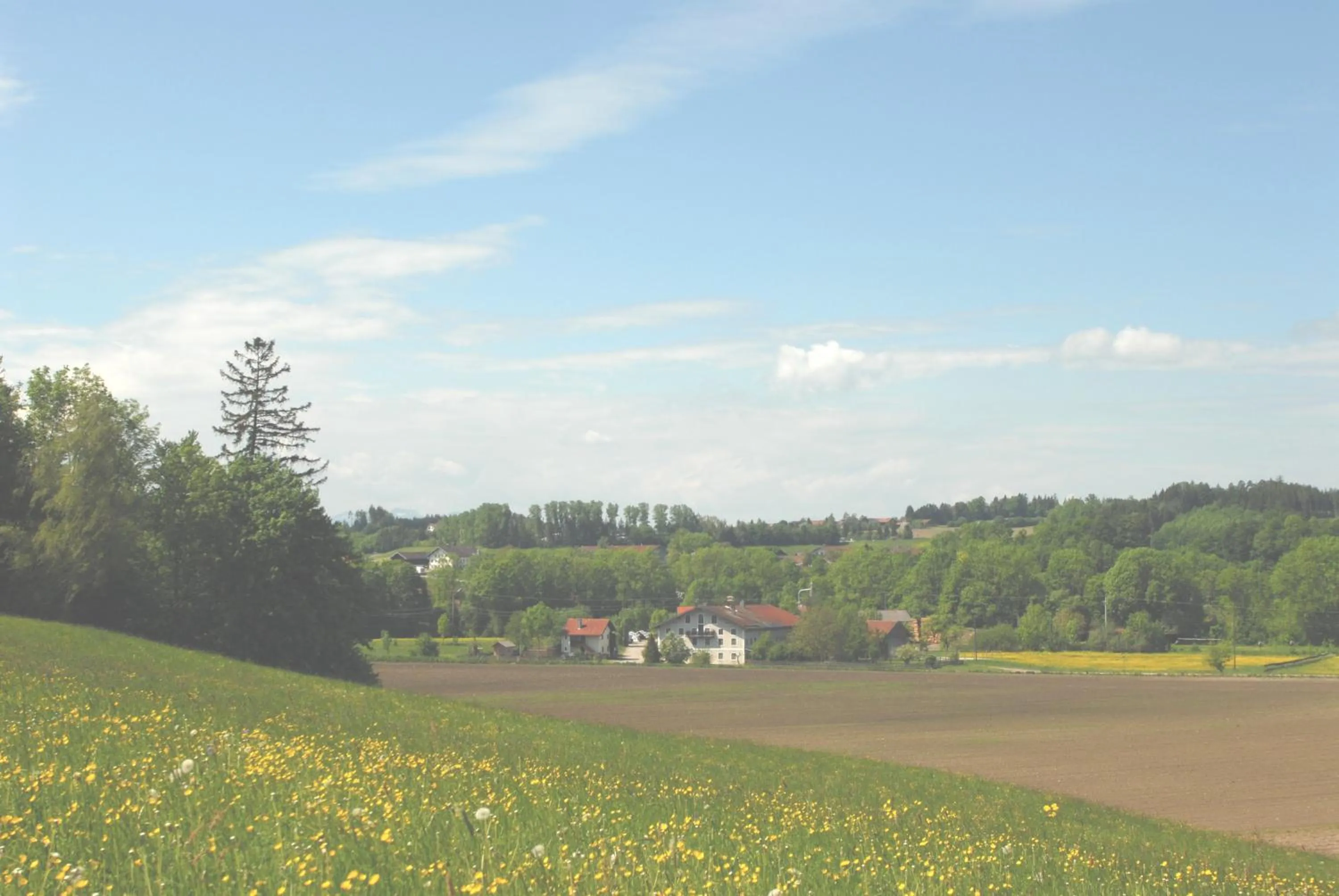 Spring in Pension Poschmühle