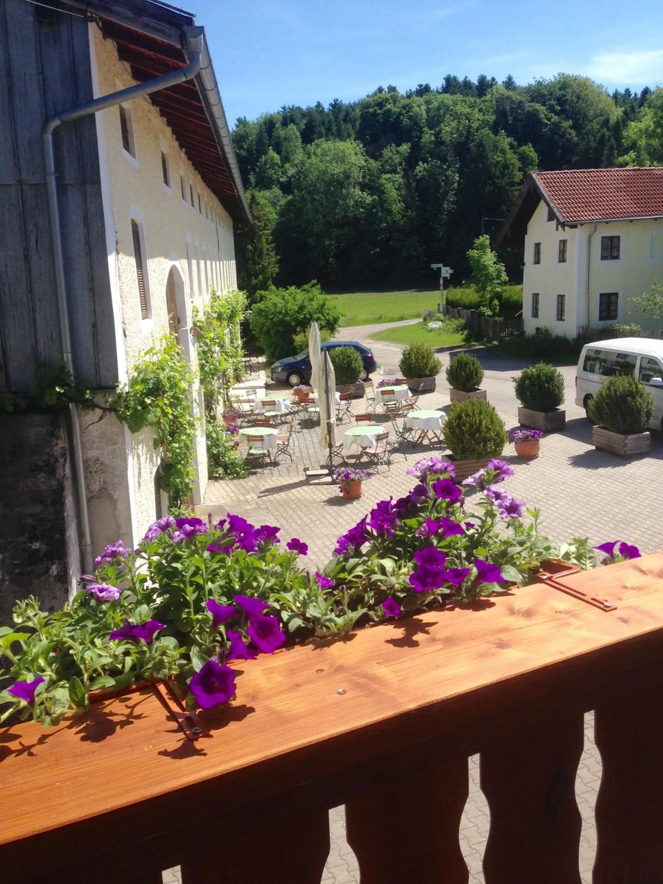 View (from property/room) in Pension Poschmühle